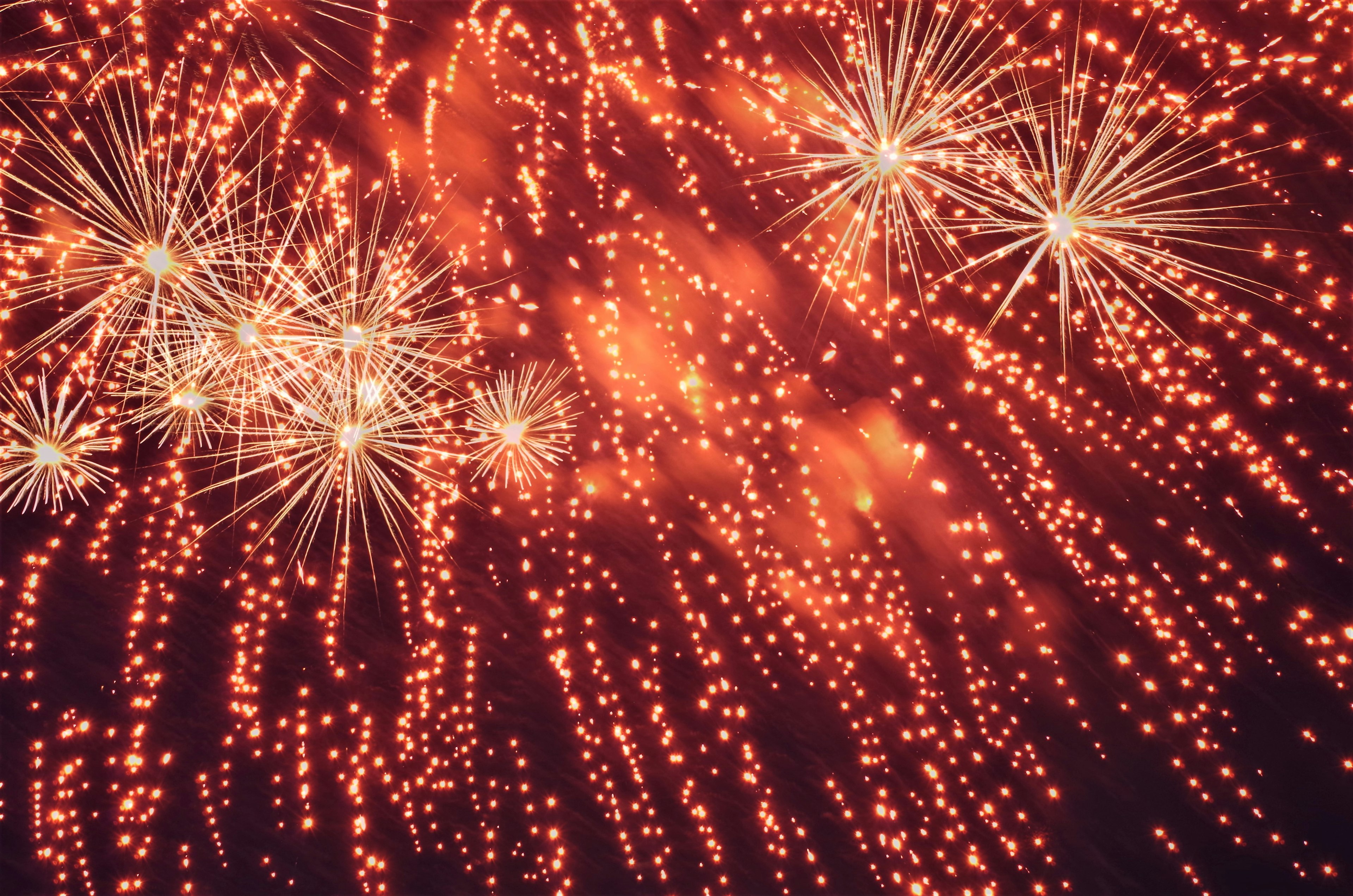 Beautiful display of red fireworks bursting in the night sky