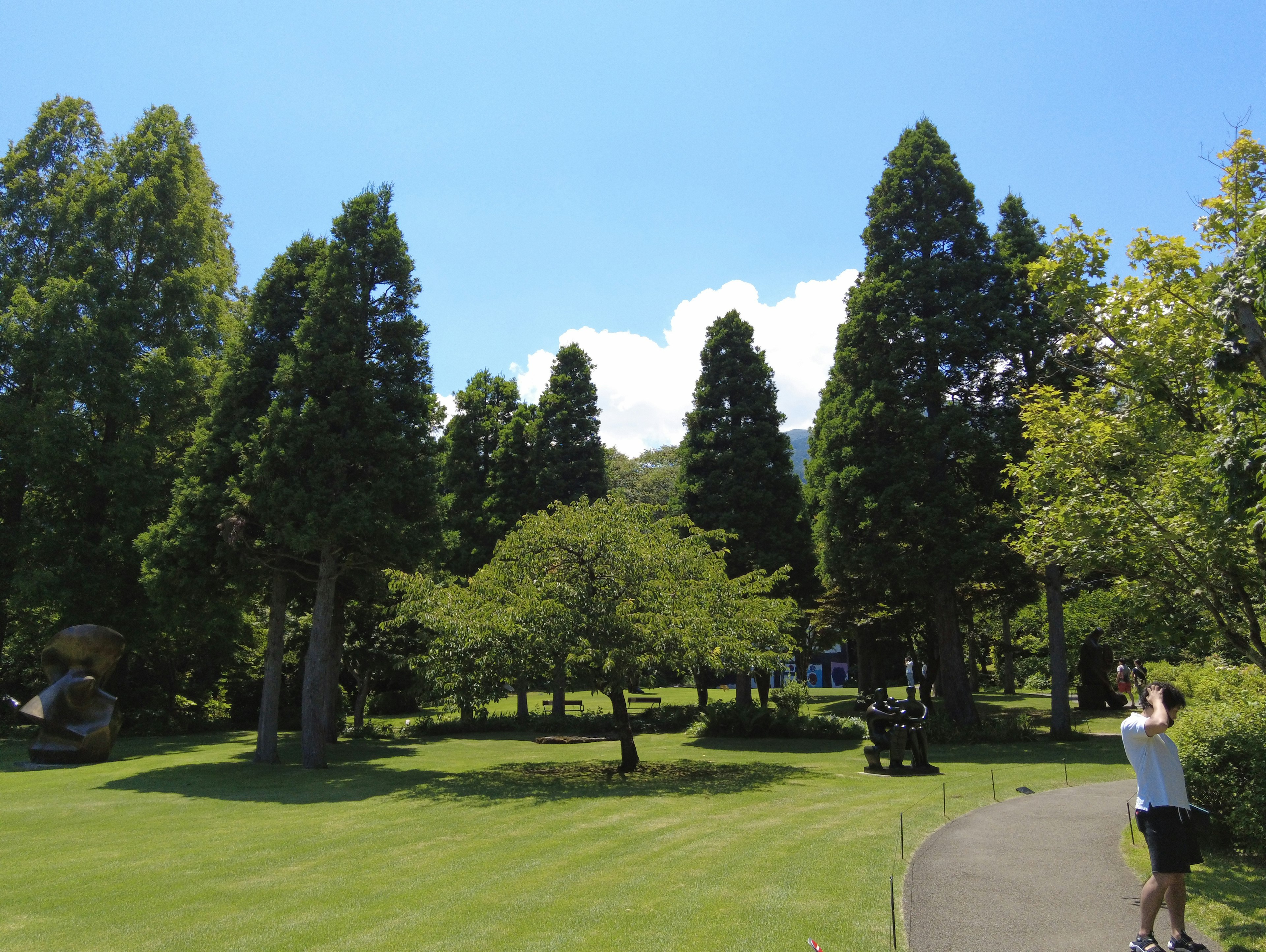 Lush green trees and grassy area under a clear blue sky with a person walking