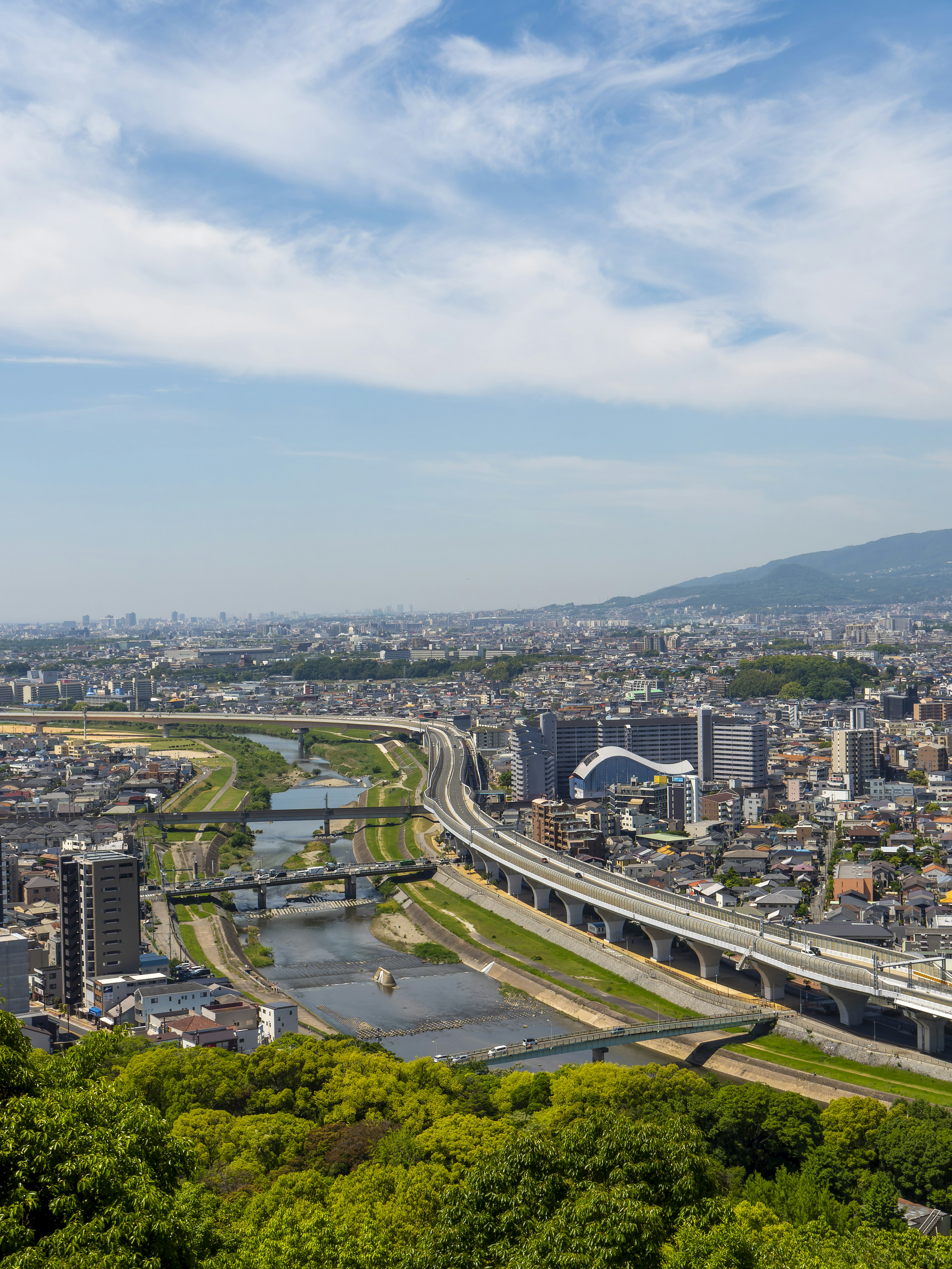 從綠色山丘俯瞰河流和城市的全景