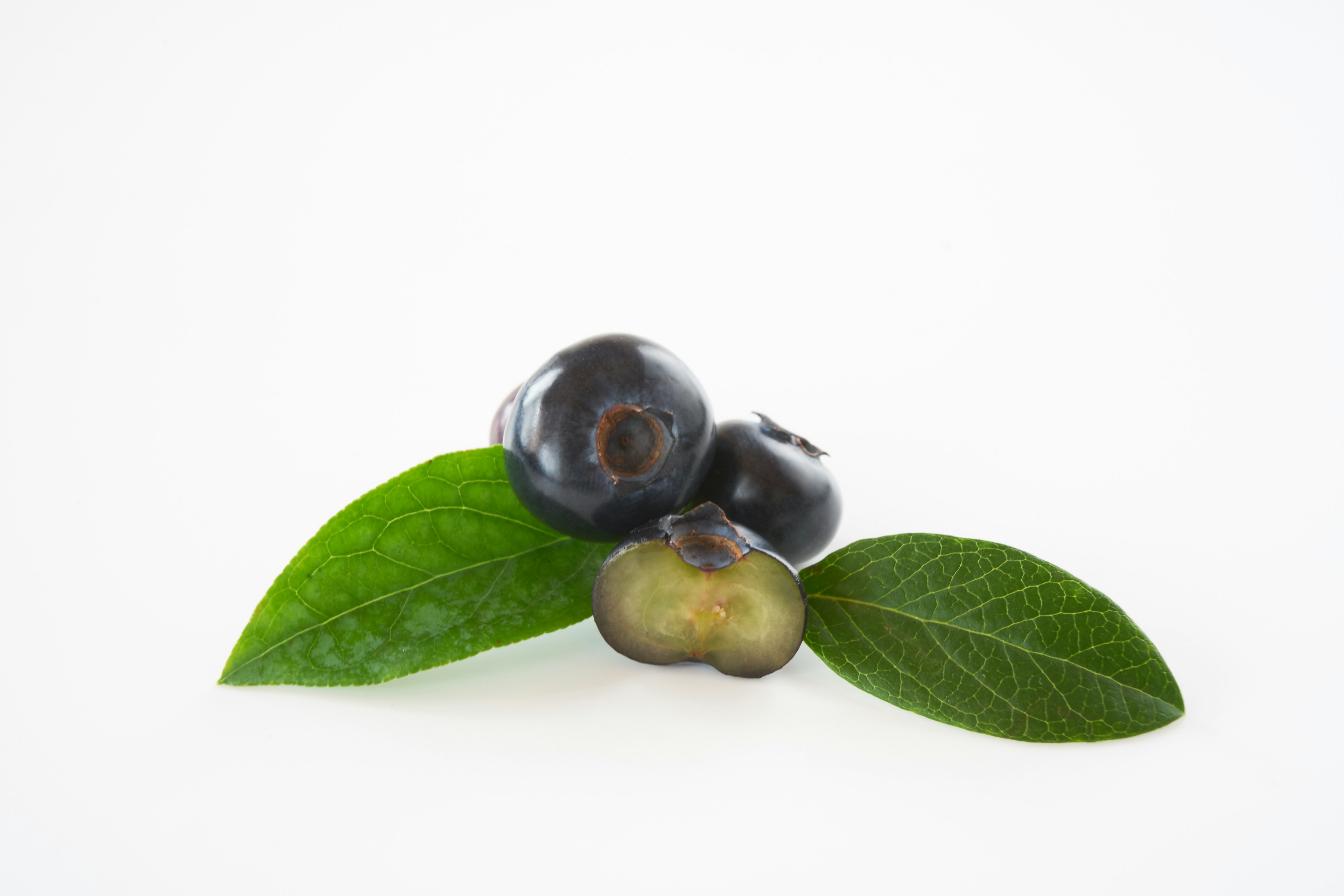 Simple still life featuring black fruits and green leaves