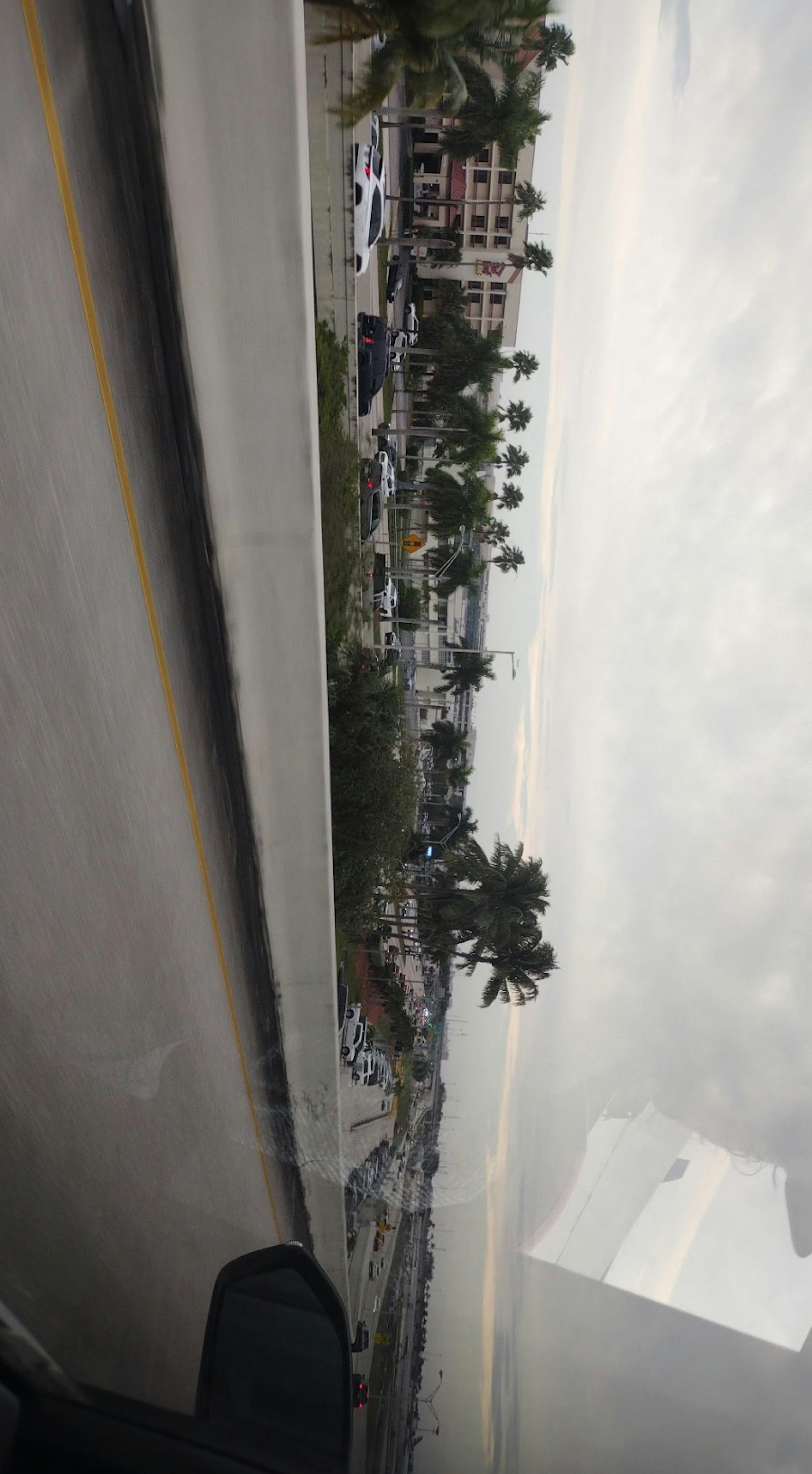 Coastal road with buildings and palm trees