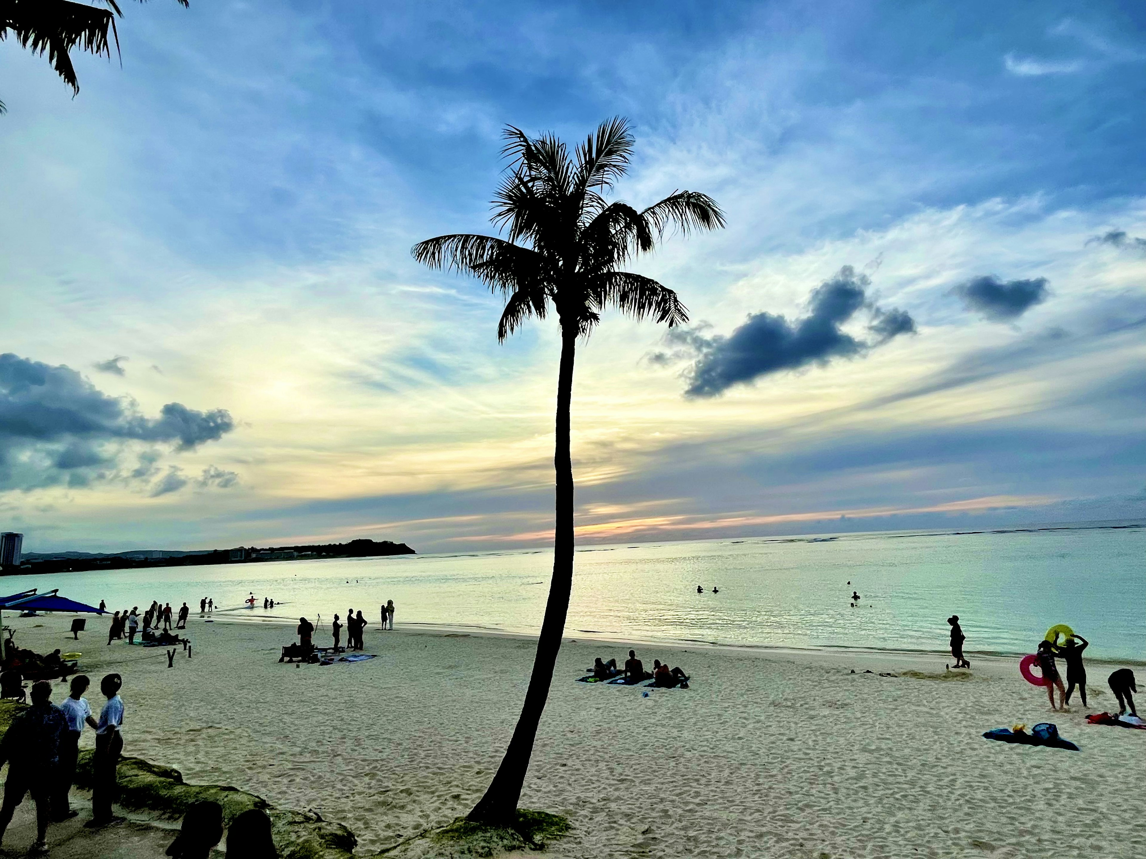 Schöne Strandszene mit blauem Himmel und Wolken mit einer Palme