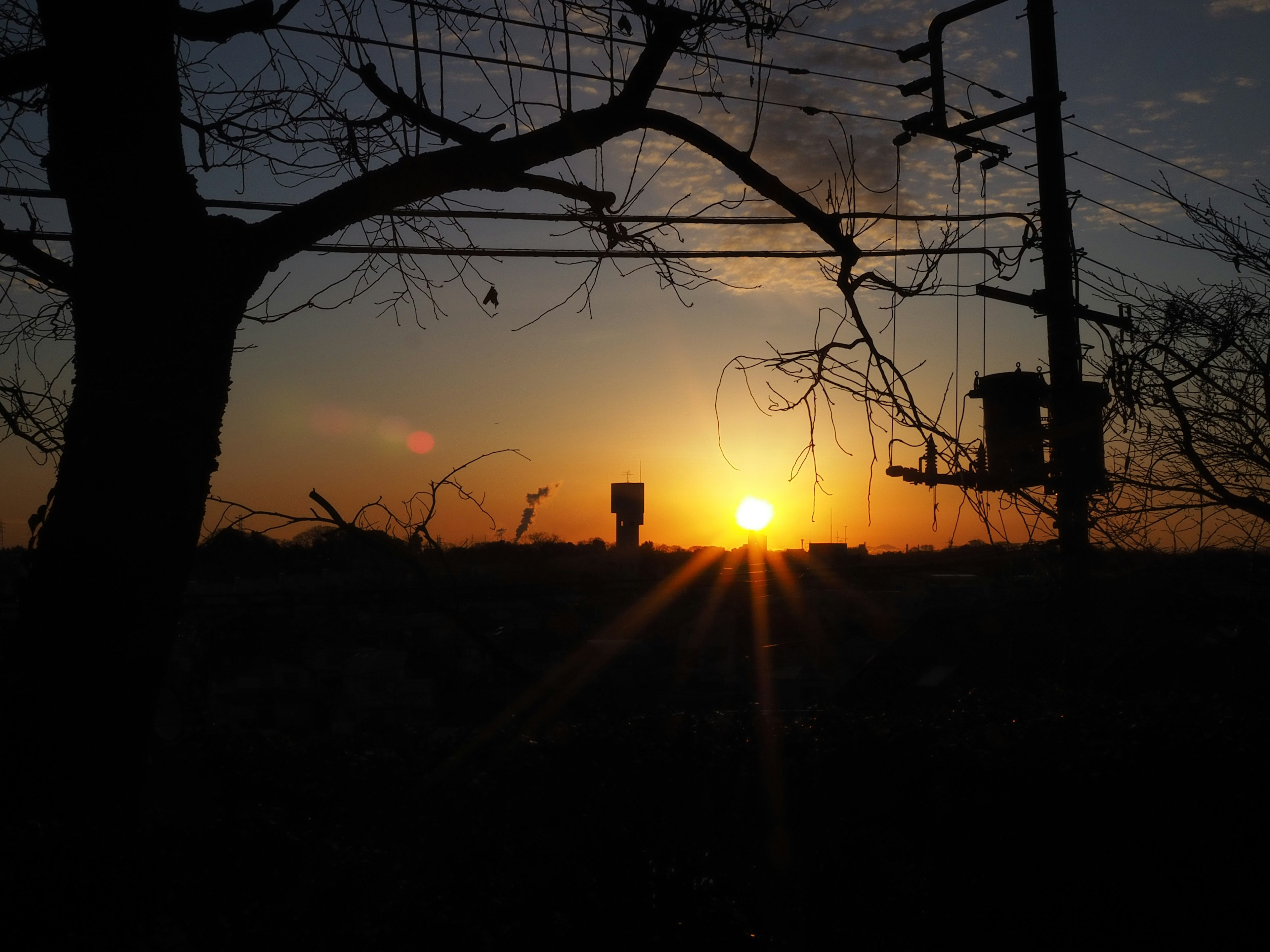 Silhouette von Bäumen vor einem Sonnenuntergang mit Lichtstrahlen