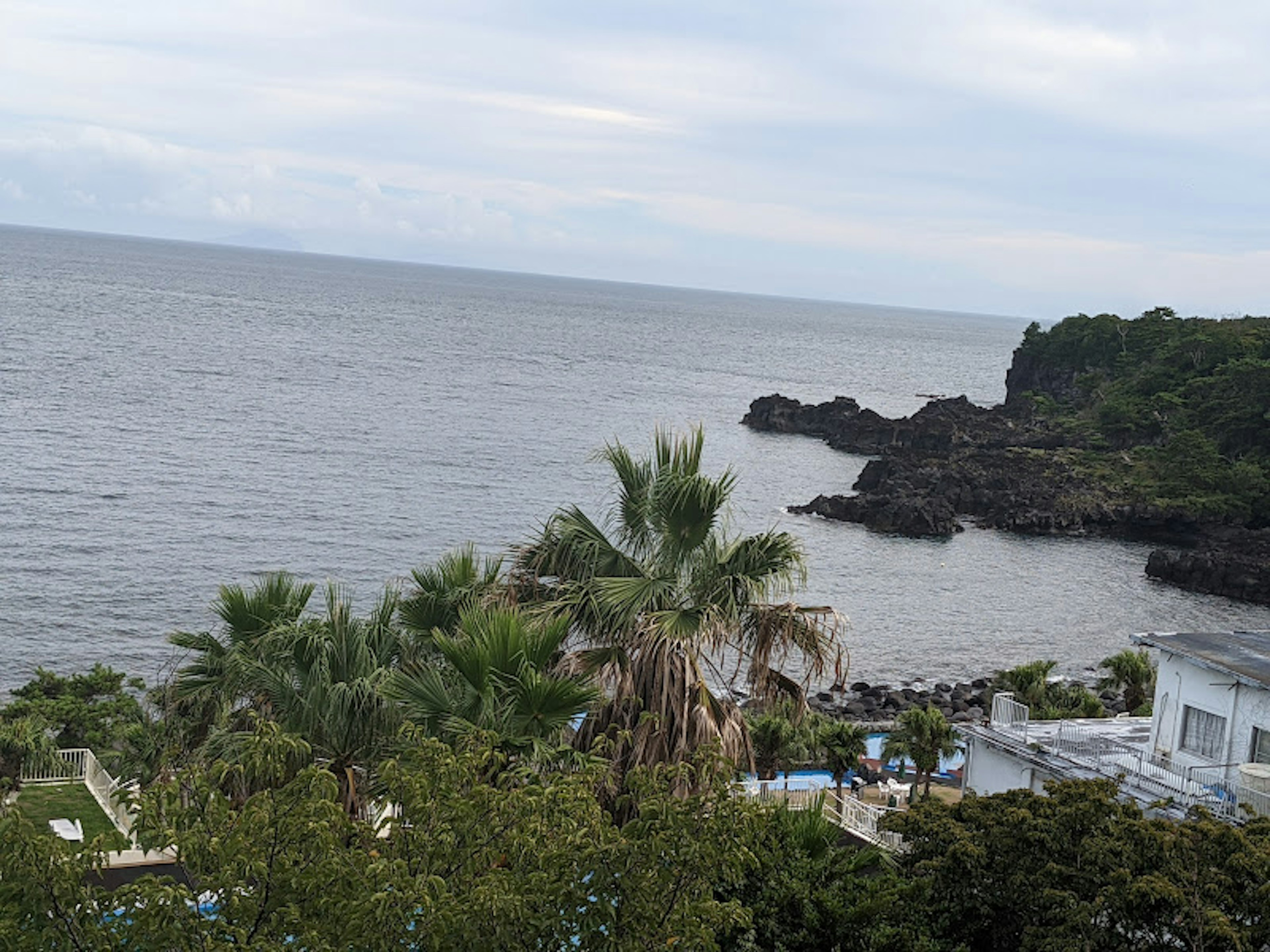 Vista panoramica di un resort costiero con palme e una costa rocciosa