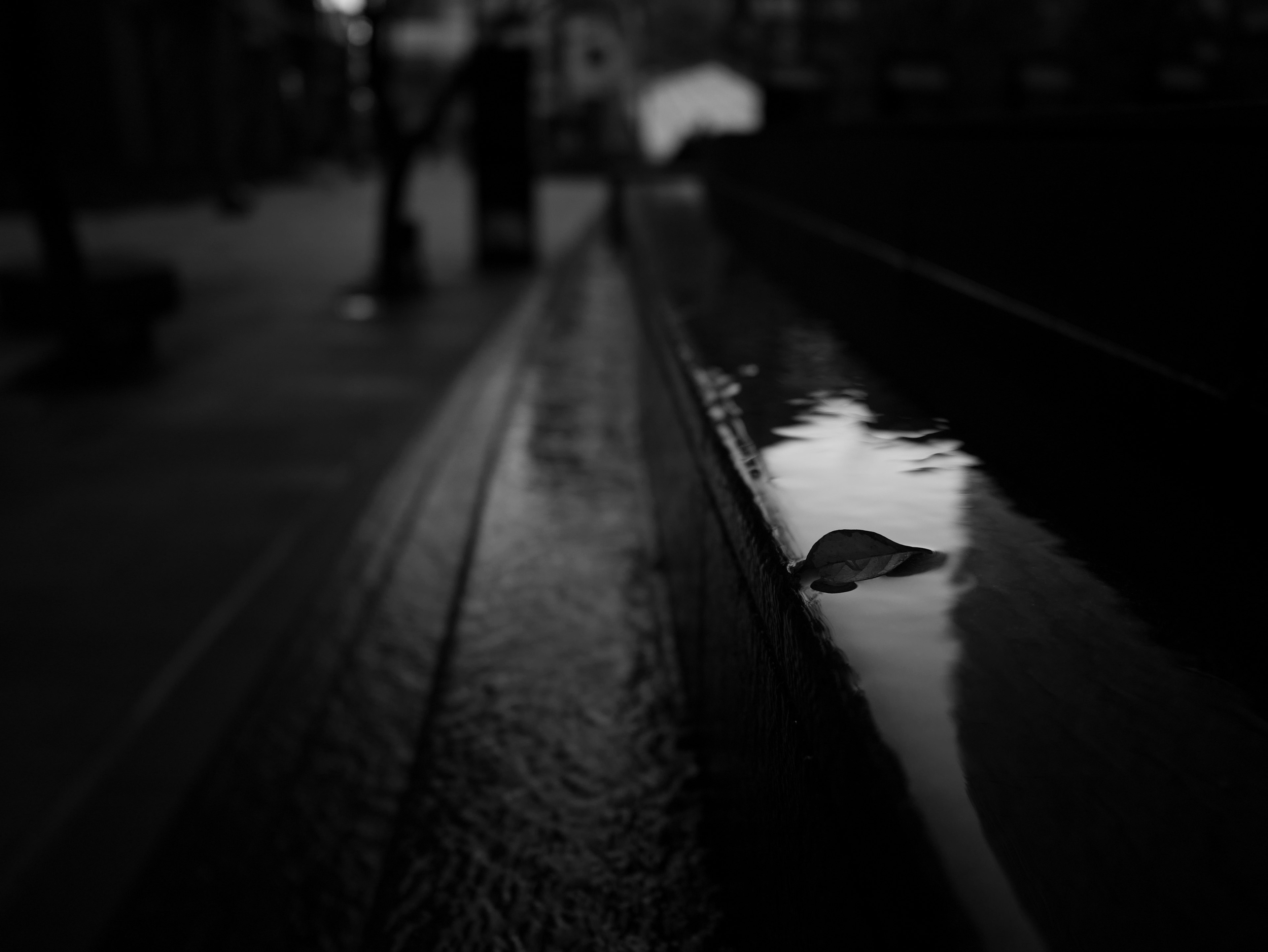 Black and white image of a puddle reflecting light and a wooden bench