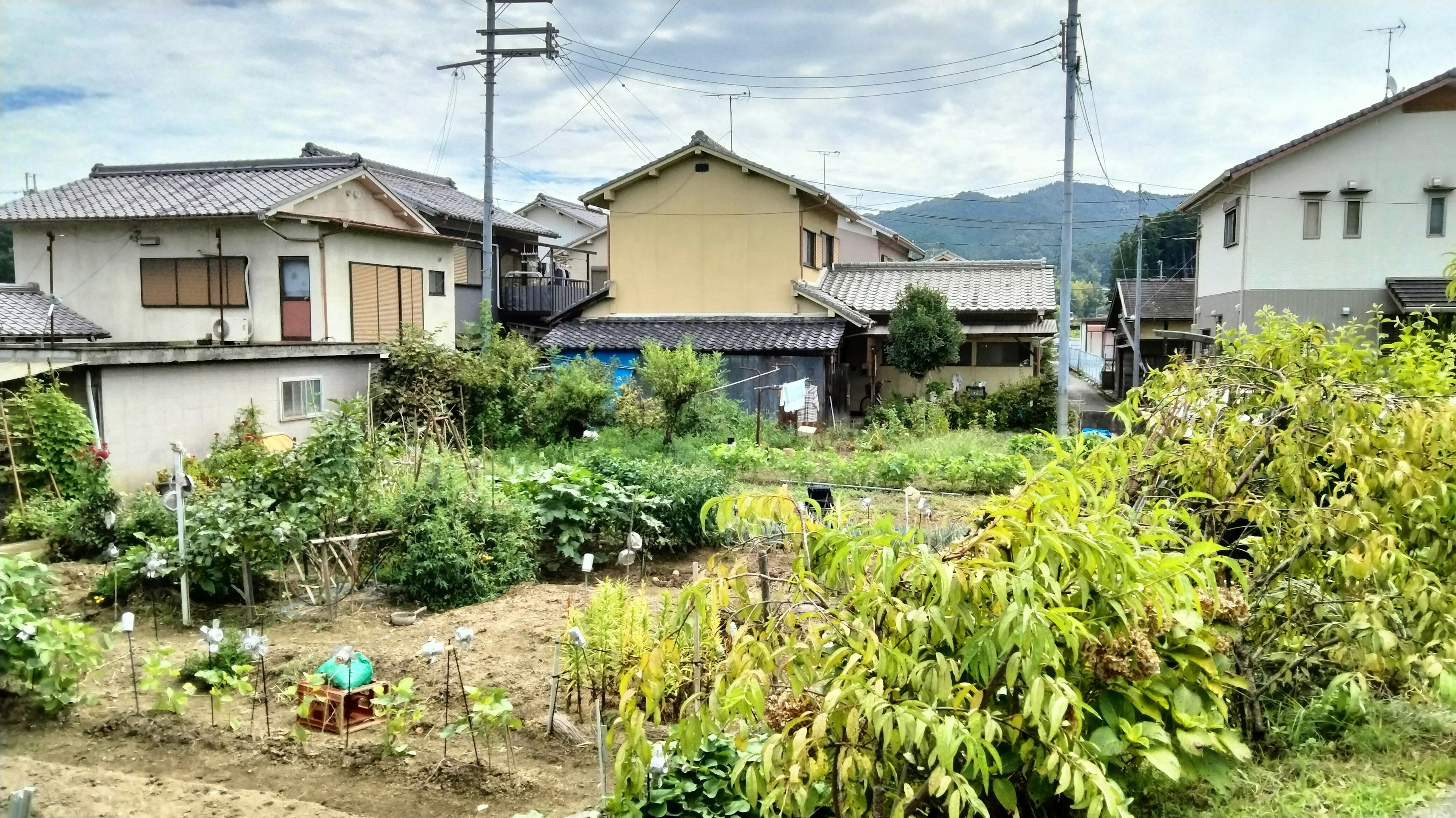 Escena rural con un jardín familiar y casas circundantes