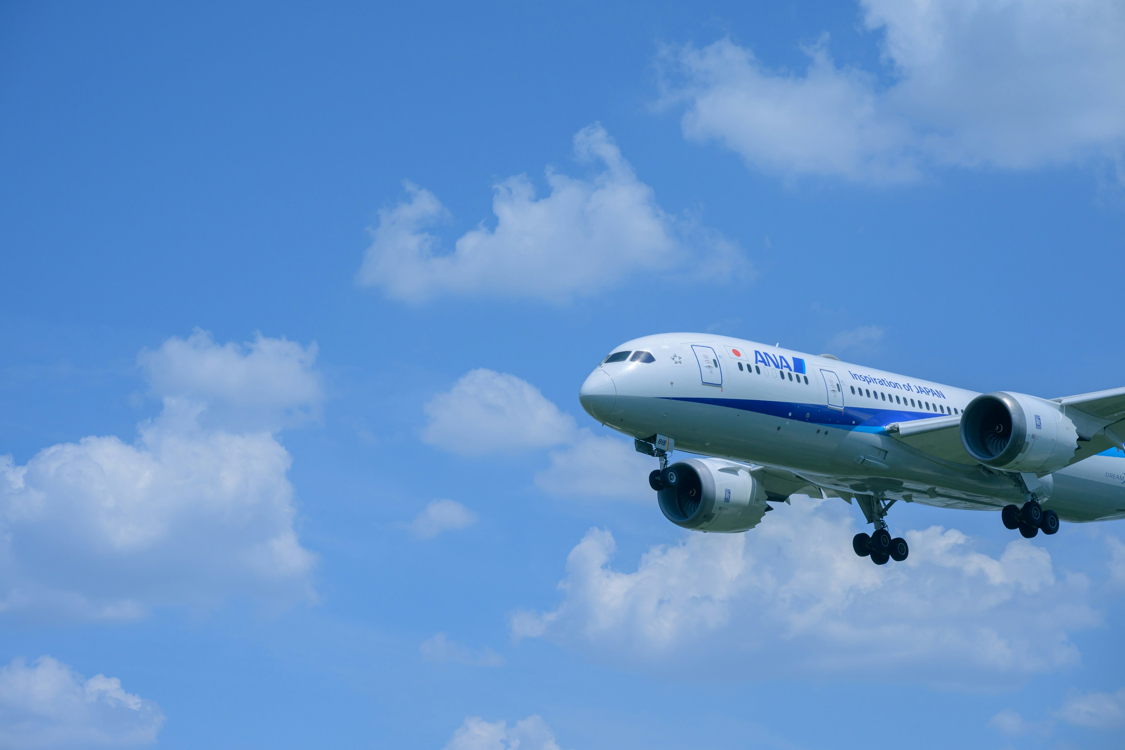 青空の下を飛ぶ旅客機の画像