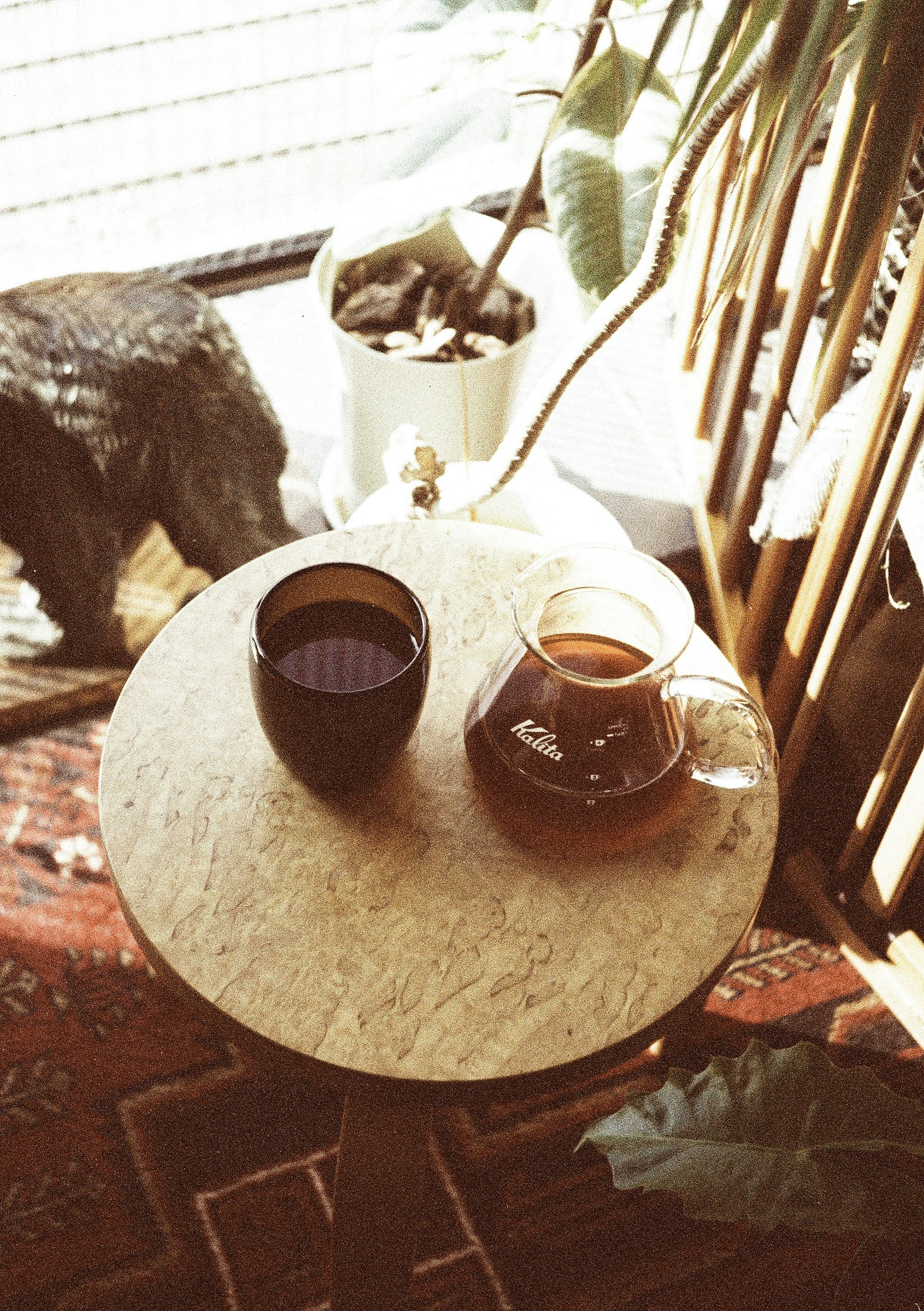 Tassen Kaffee und Tee auf einem runden Tisch umgeben von Pflanzen