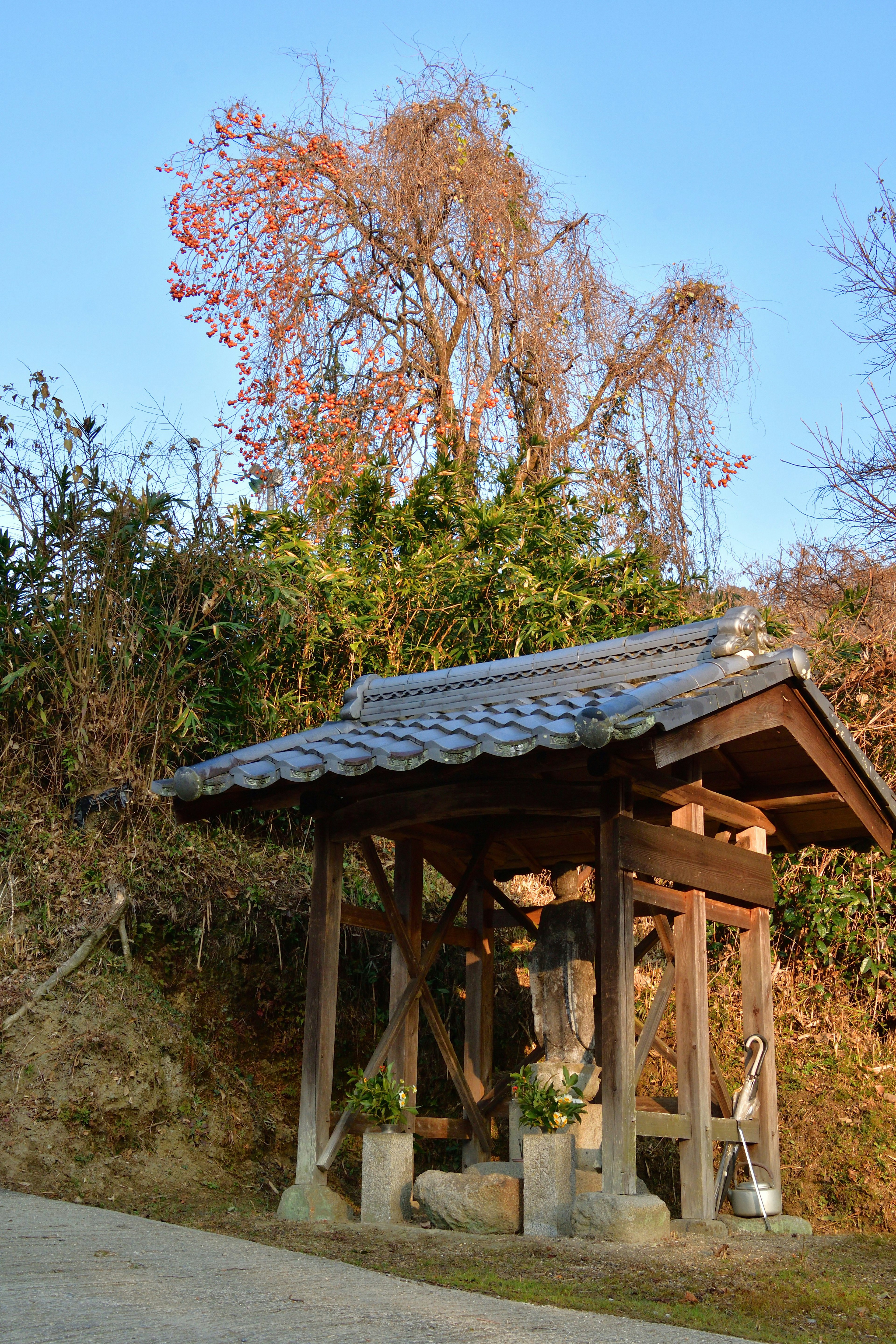 Una antigua torre de campana rodeada de naturaleza y árboles de otoño