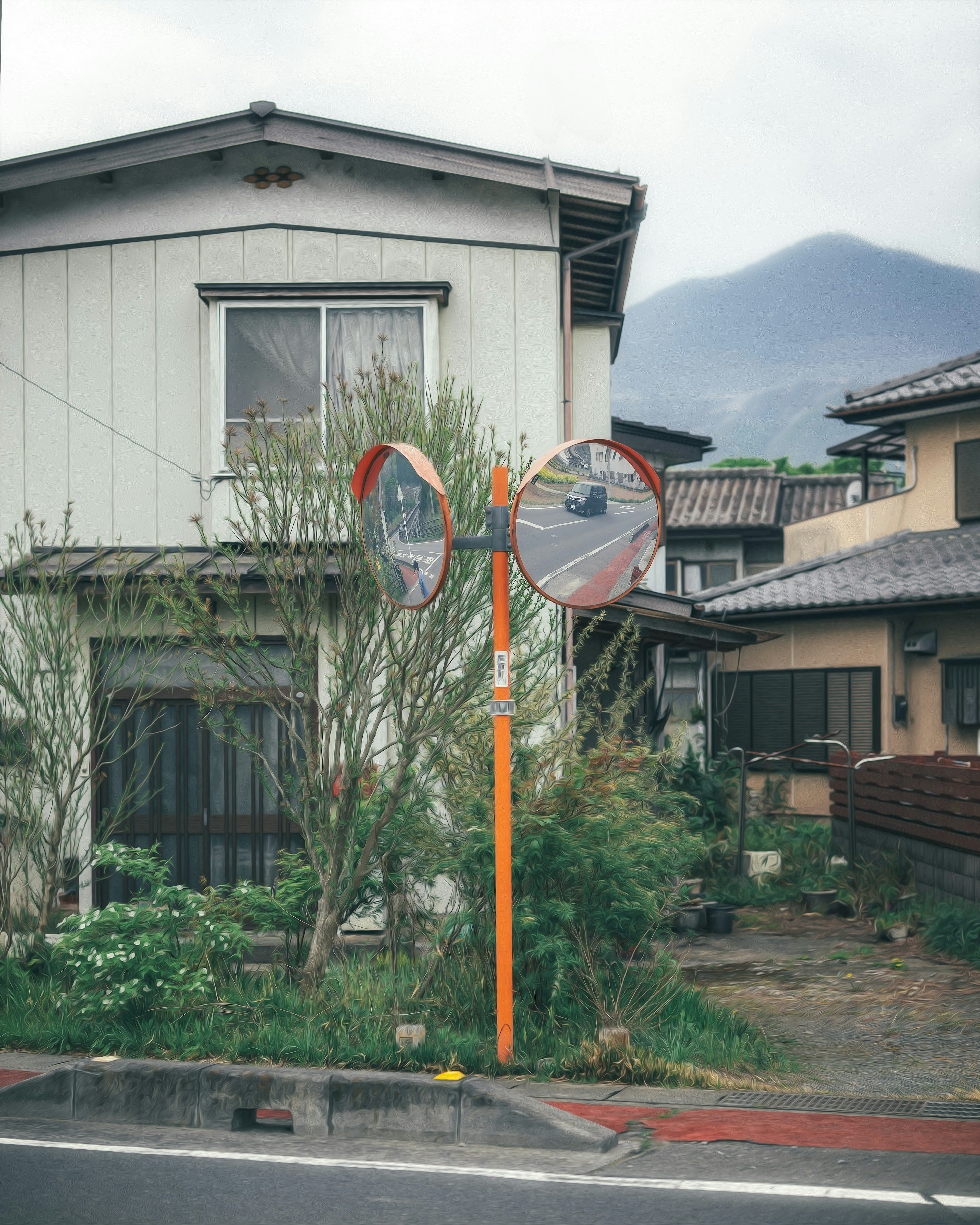 住宅街にある二つのミラーと緑の植物