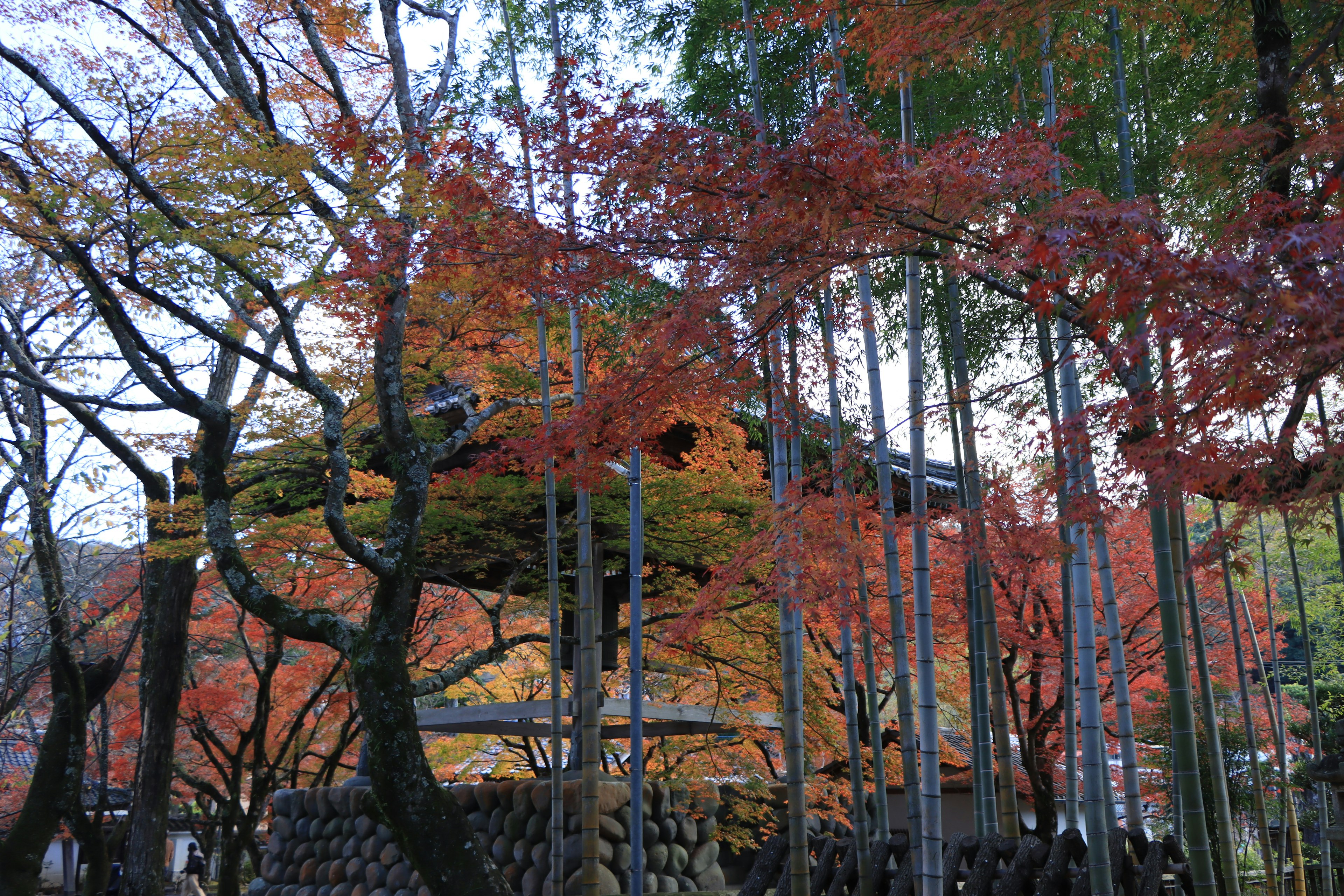 Traditionelles japanisches Gebäude umgeben von Herbstlaub und Bambus