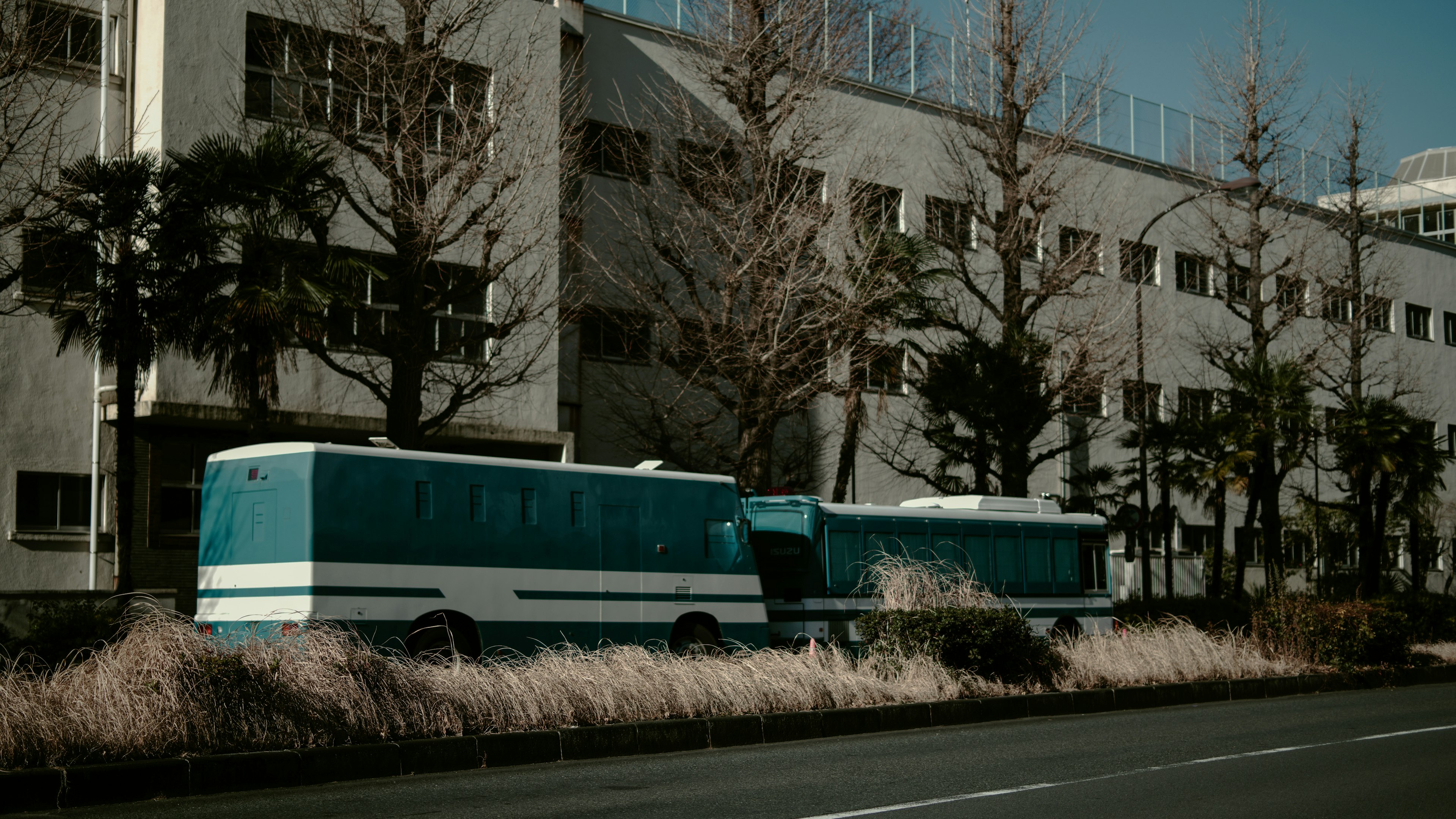 Dos autobuses azules estacionados a lo largo de una calle junto a un edificio