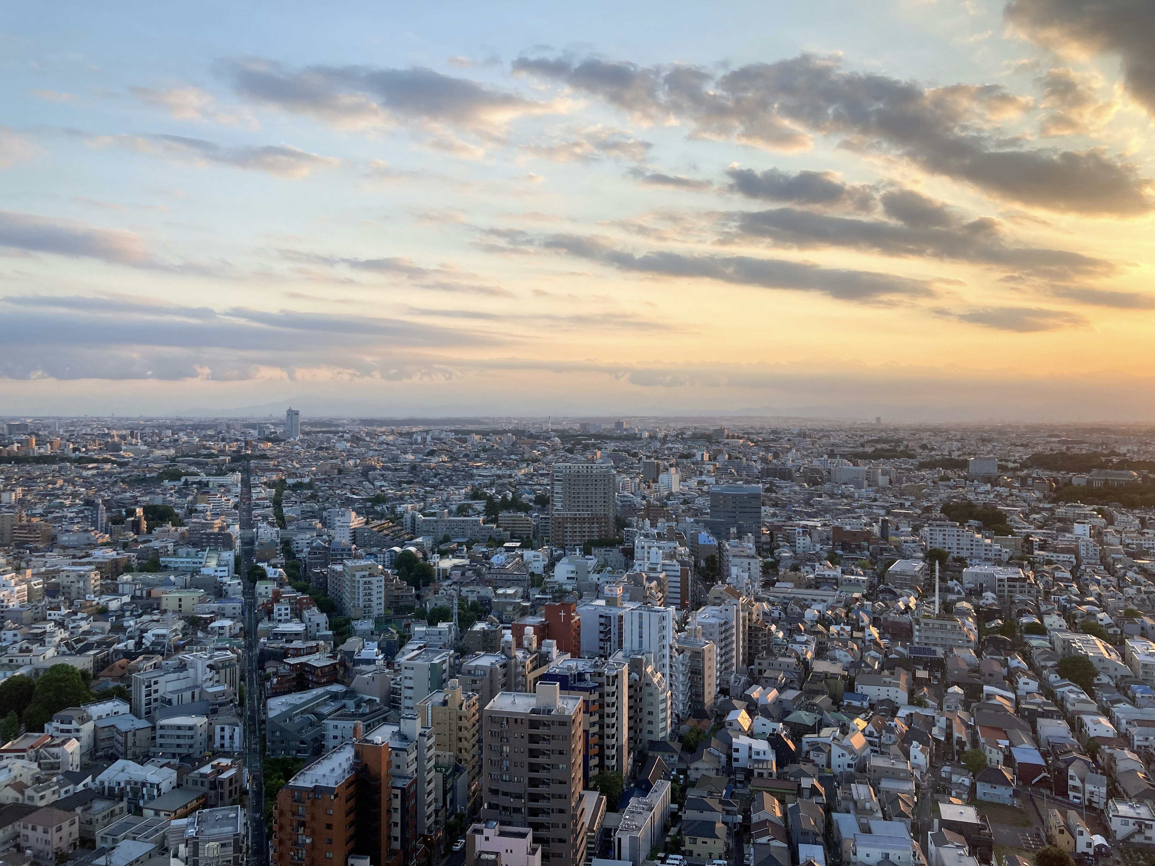 東京の夕暮れ時の都市景観 高層ビルと広がる街並み