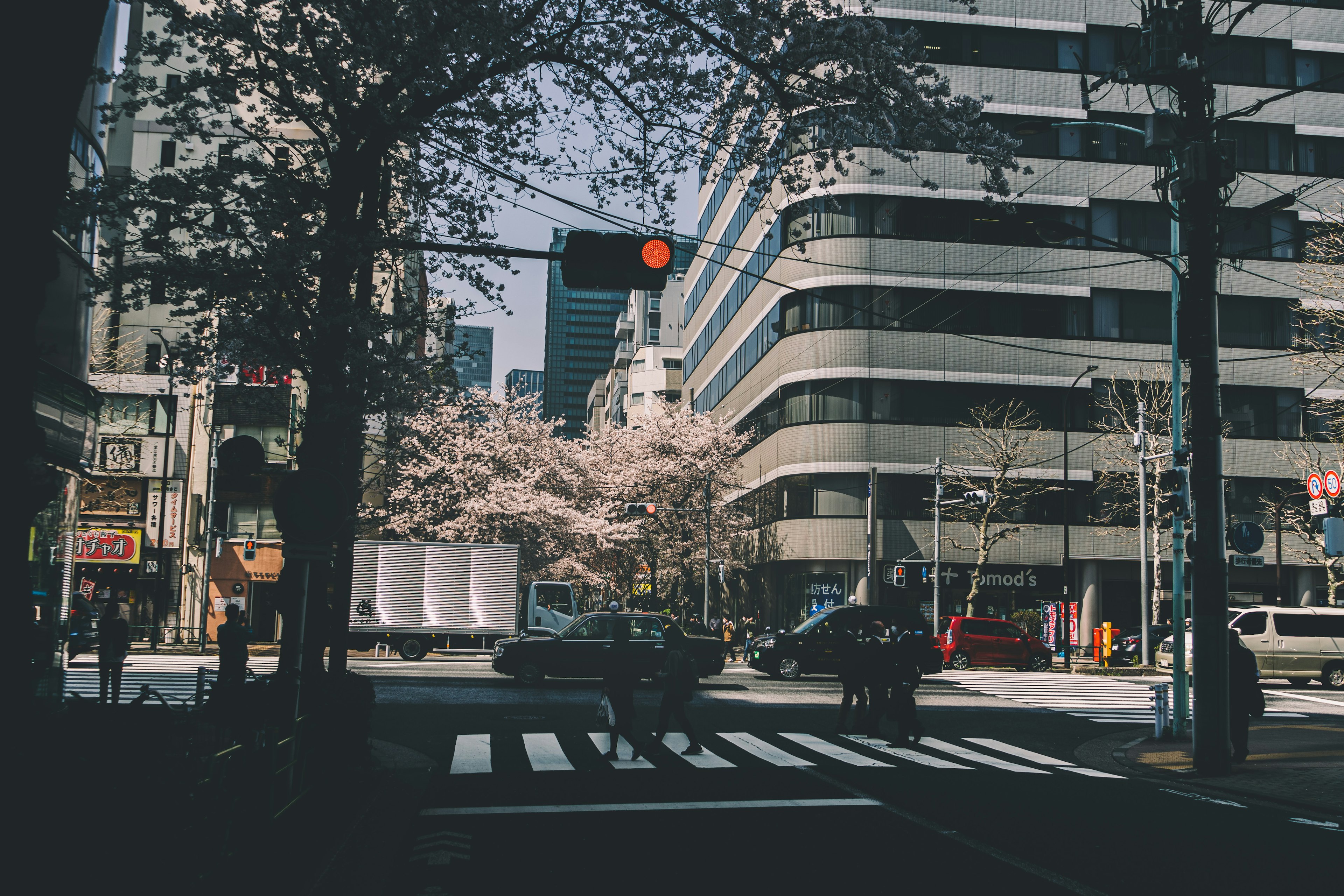 Street corner view featuring cherry blossom trees and modern buildings