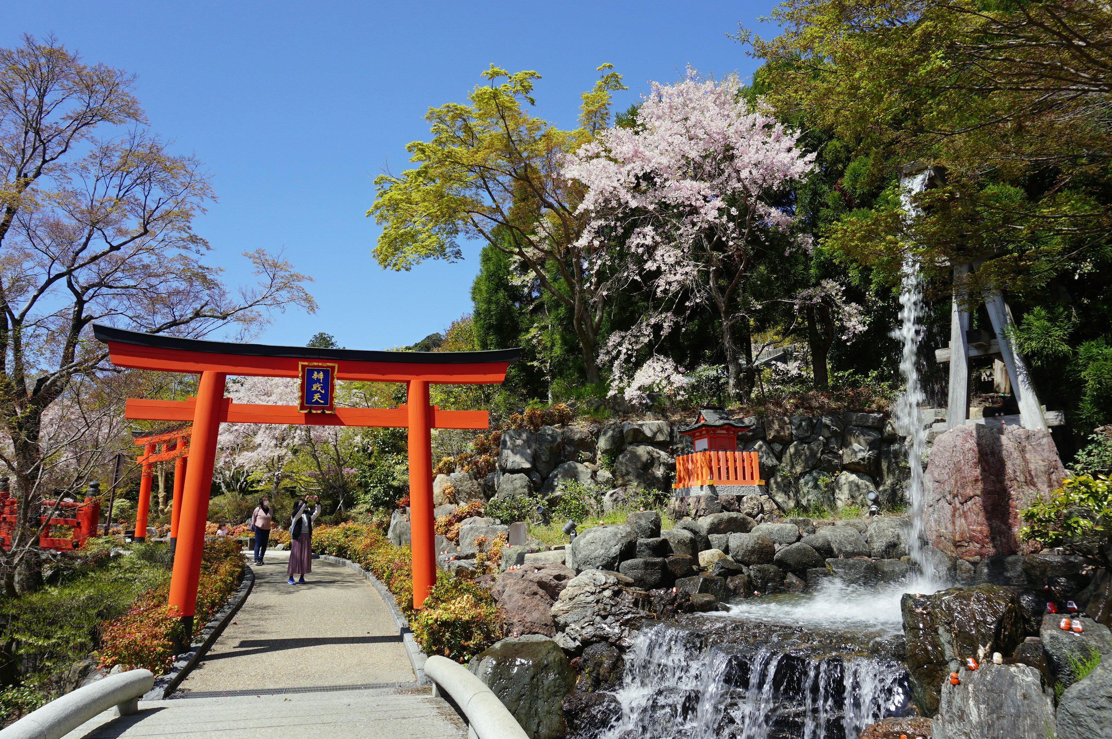 Portail torii rouge dans un jardin japonais avec des cerisiers en fleurs et une cascade