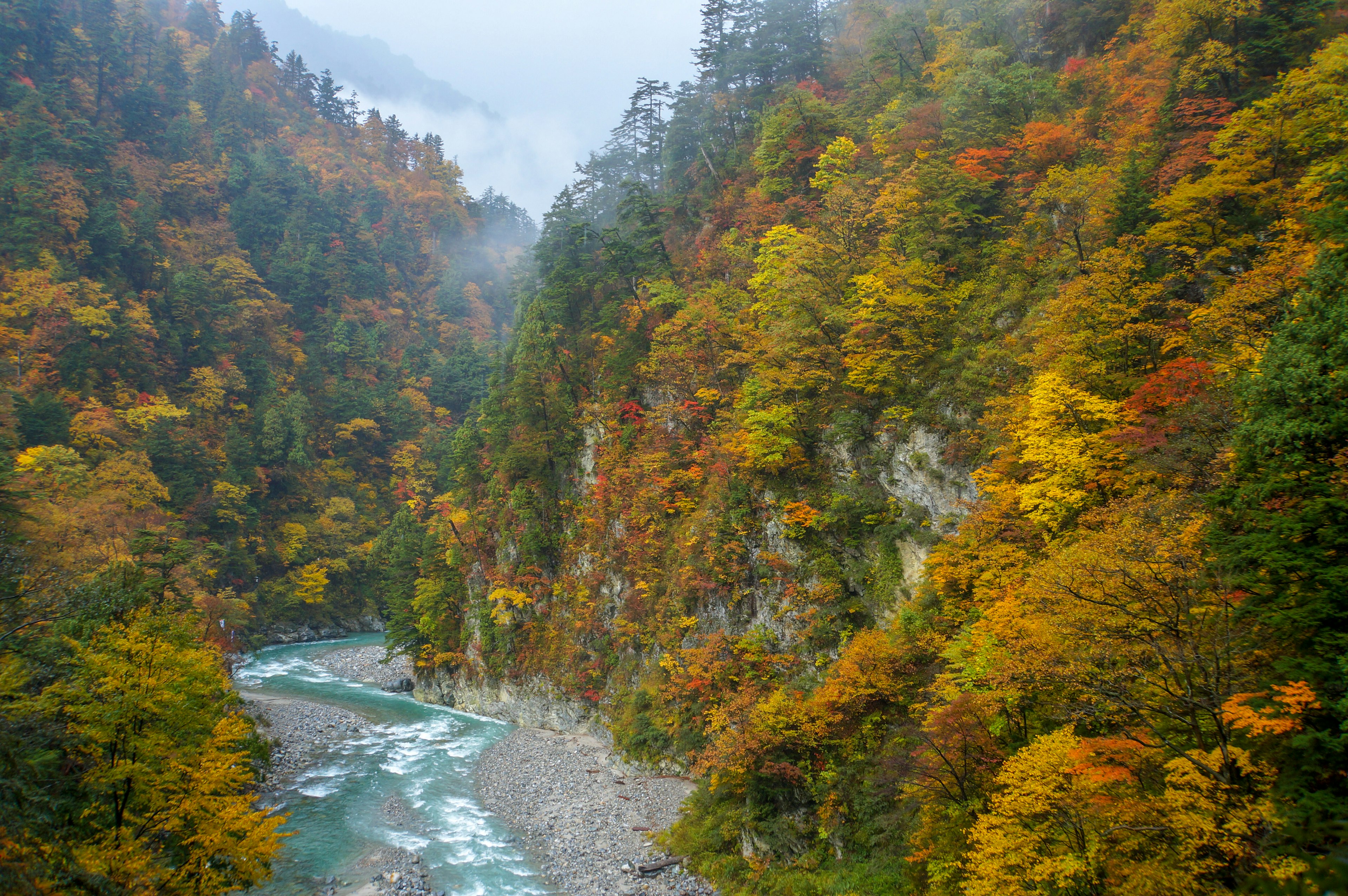 Vista escénica de un río rodeado de follaje otoñal colorido