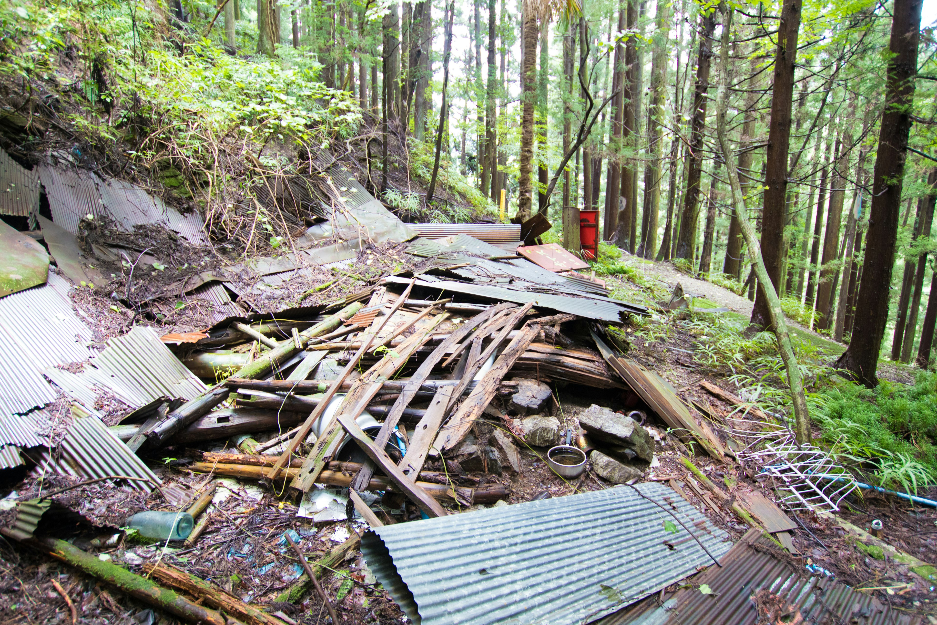 森の中にある崩れた小屋の残骸と金属片