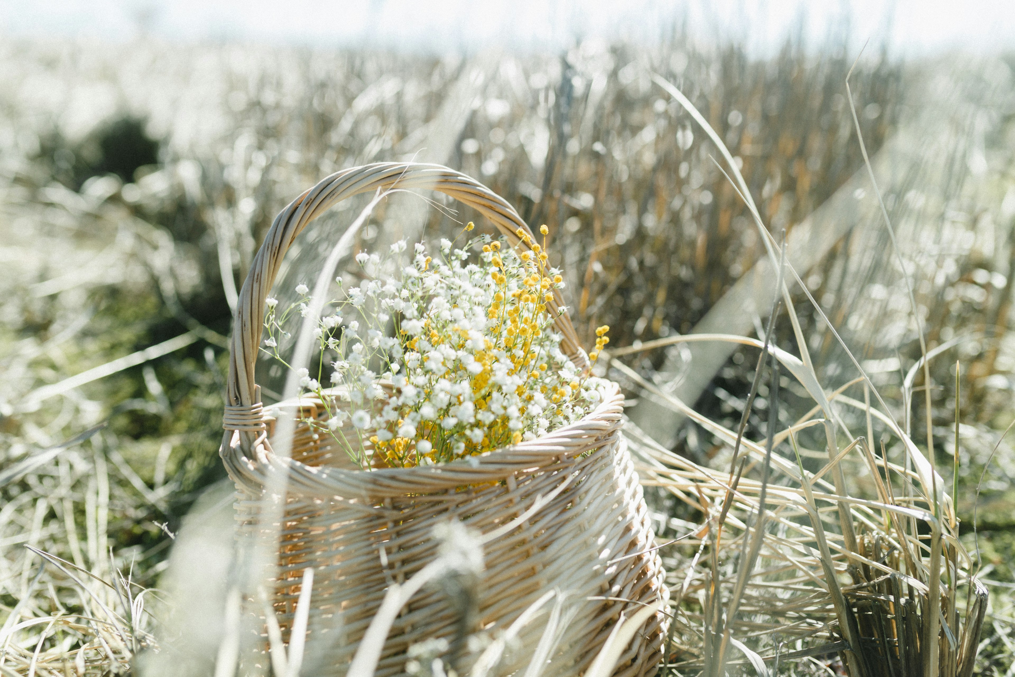 Una cesta llena de flores blancas y amarillas colocada en un campo de hierba seca