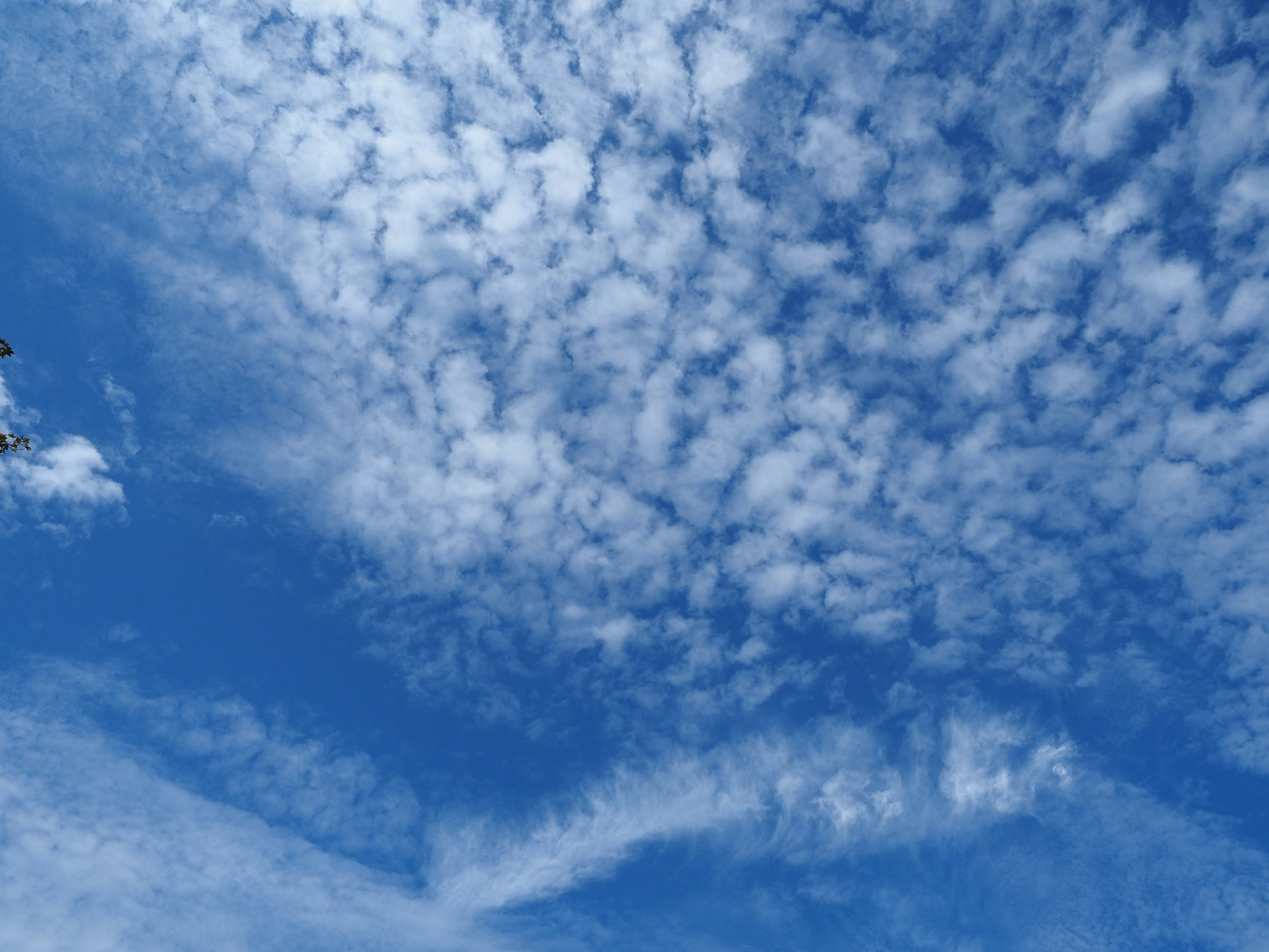 Belle vue d'un ciel bleu rempli de nuages blancs