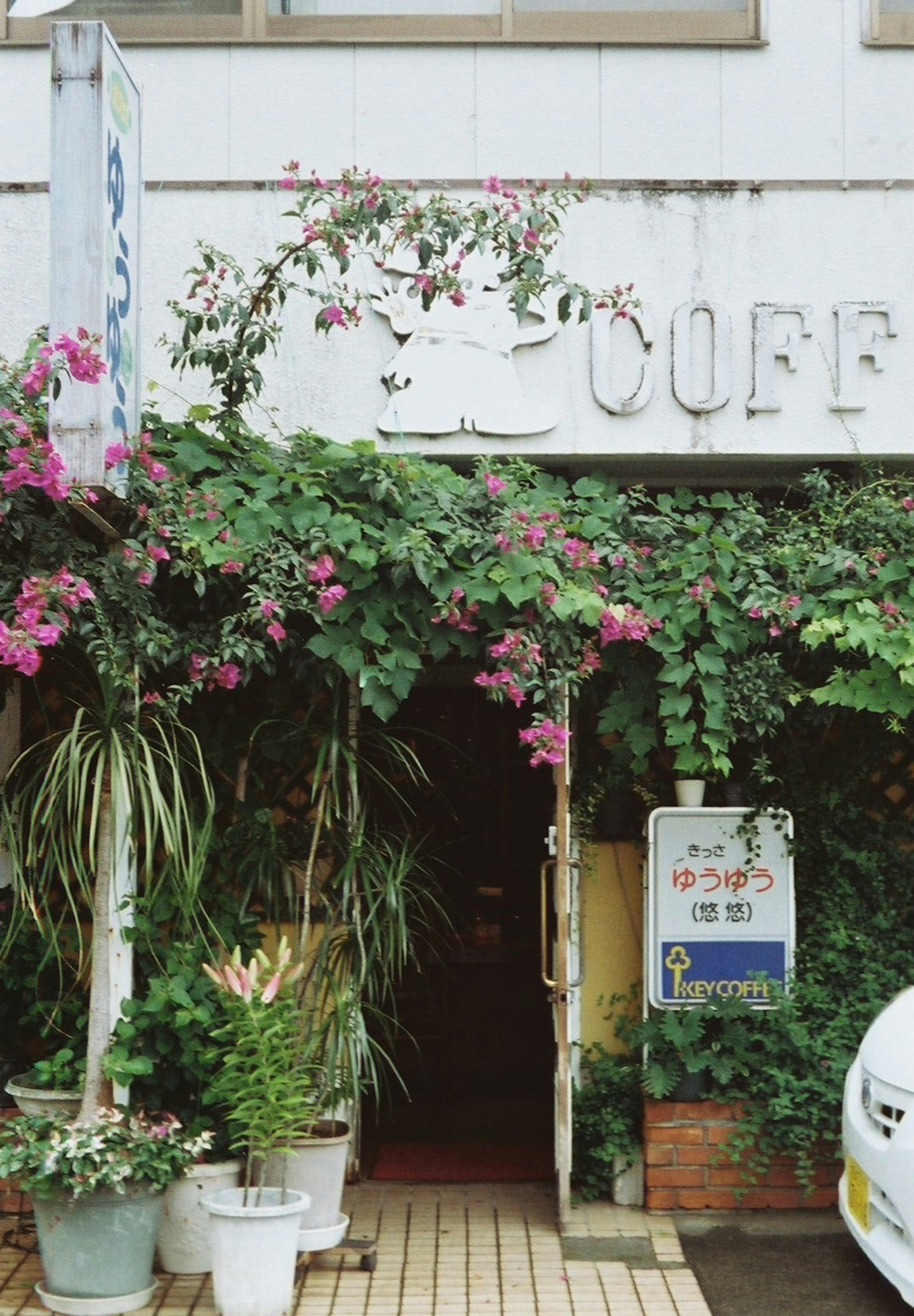 緑の植物と花で飾られたカフェの入り口