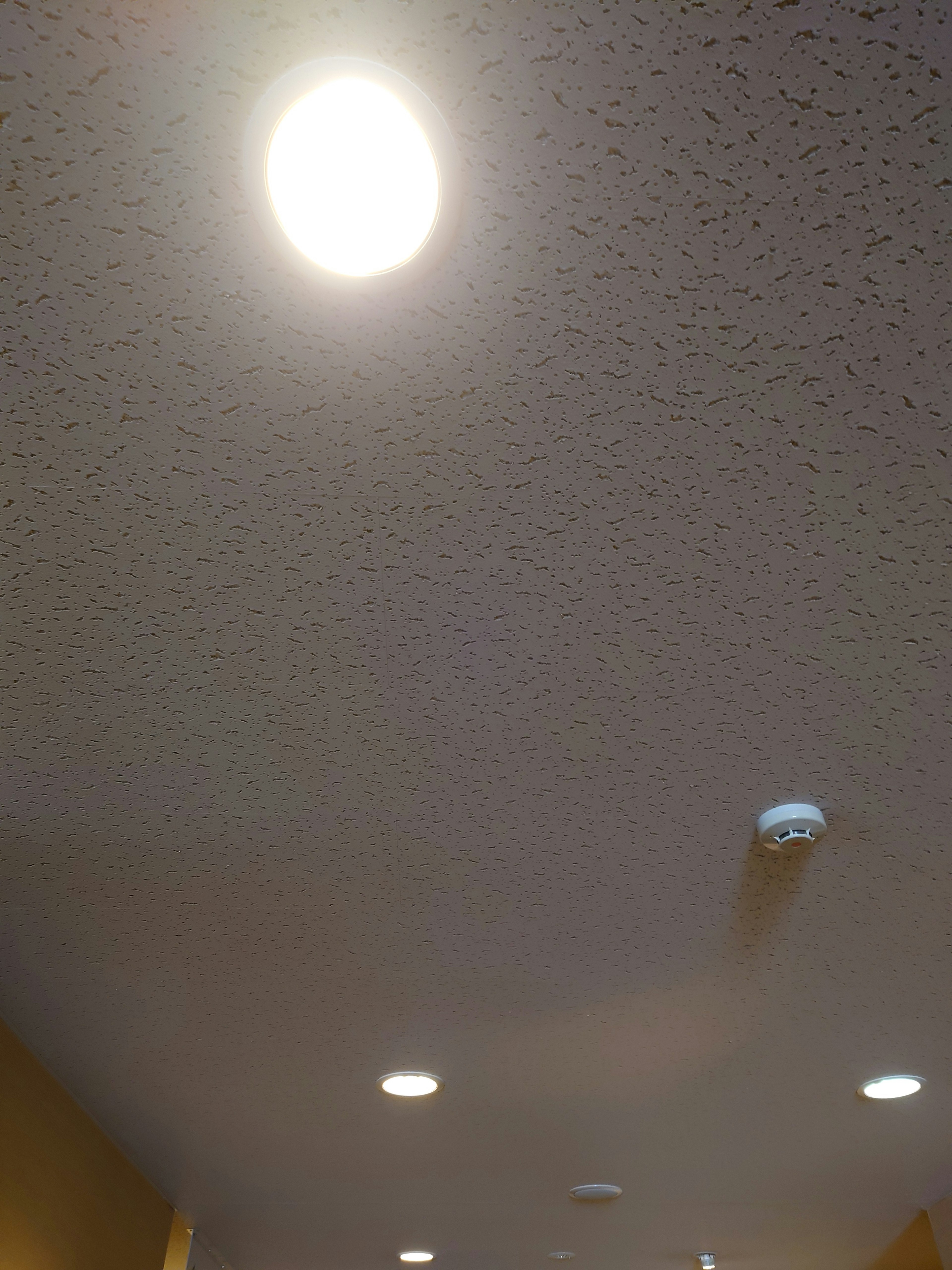 Bright ceiling light with textured surface