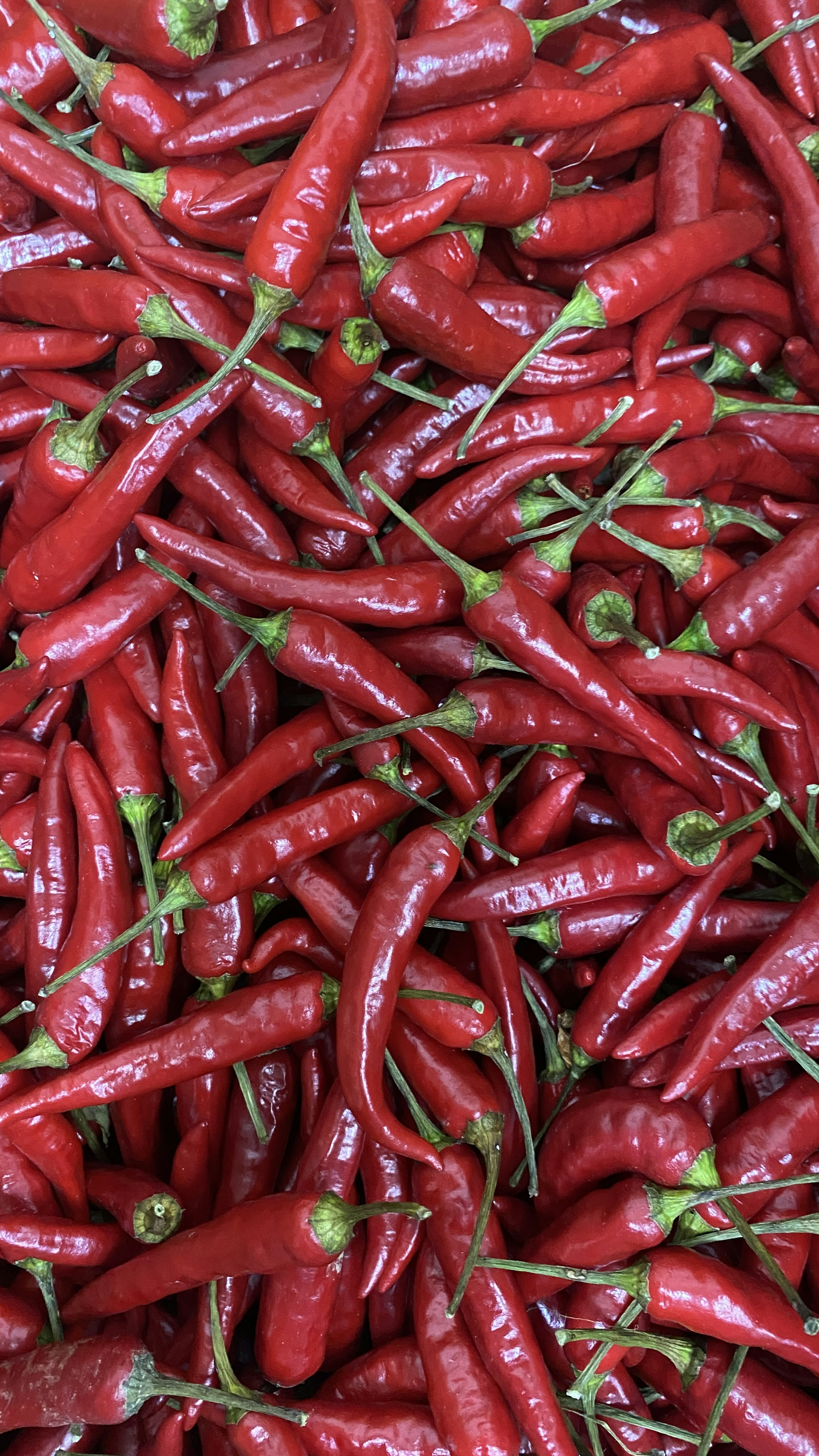 Vibrant red chili peppers piled together