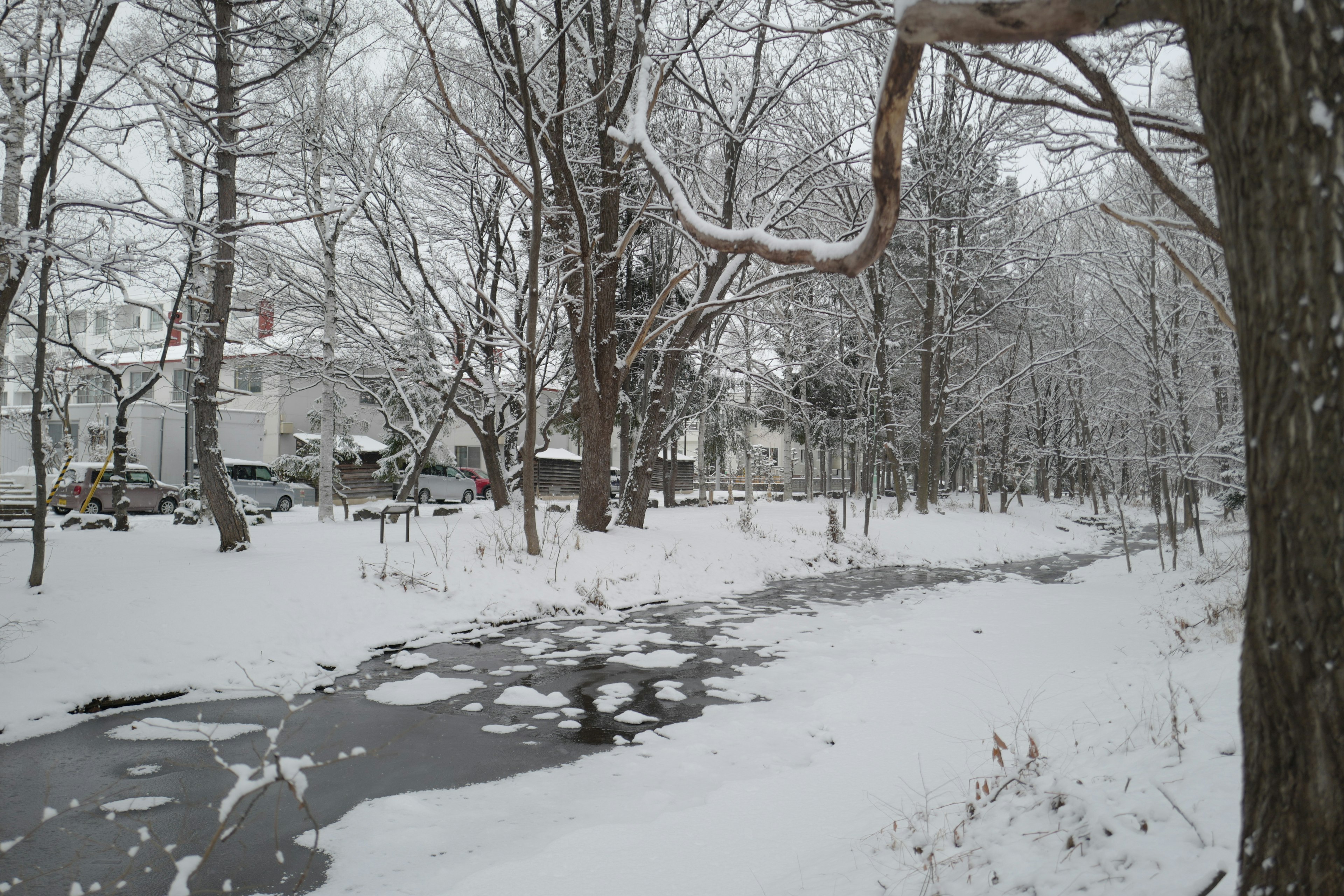 被雪覆蓋的風景和寧靜的小溪