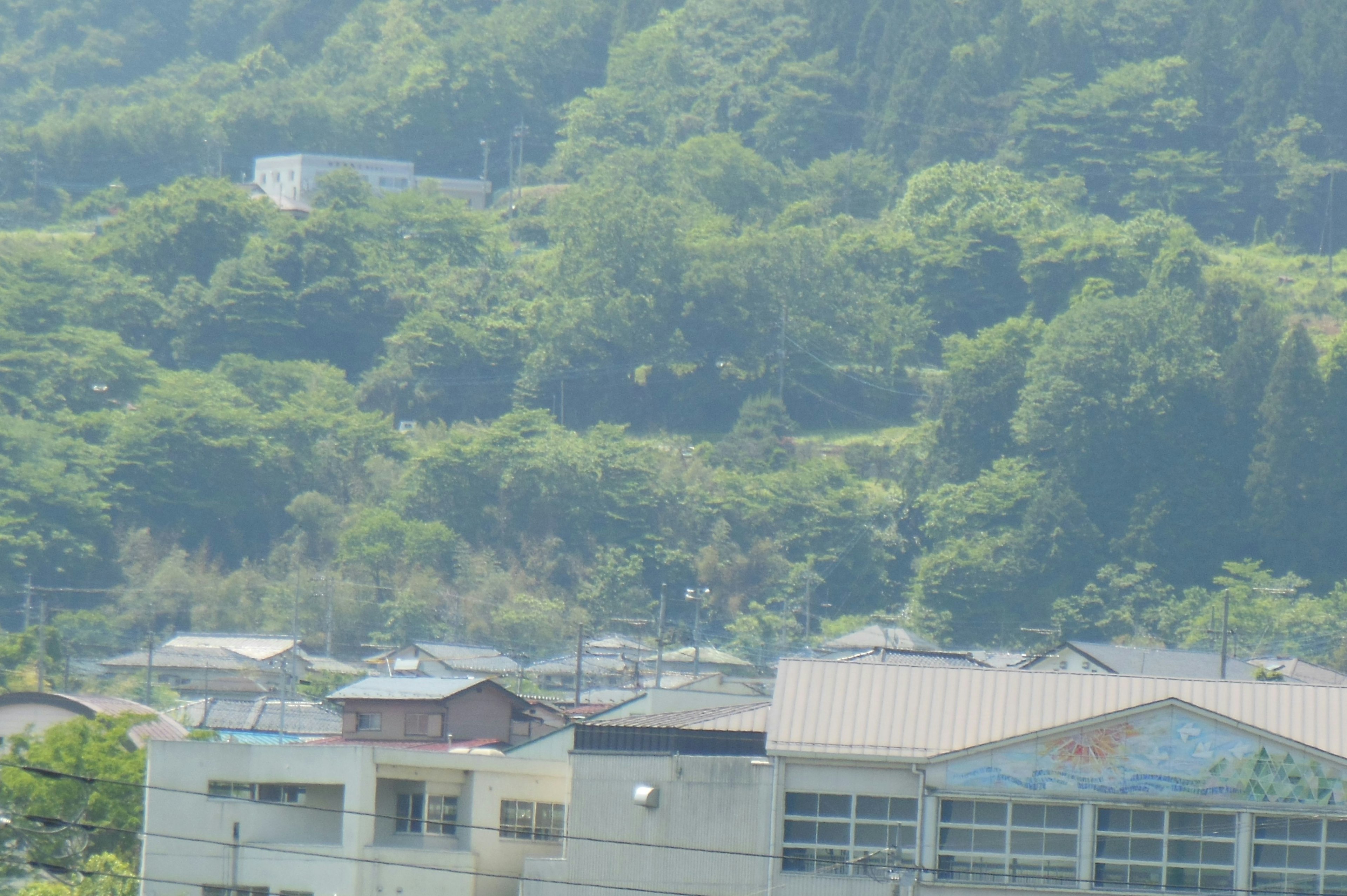 Lush green hills with residential buildings in the foreground