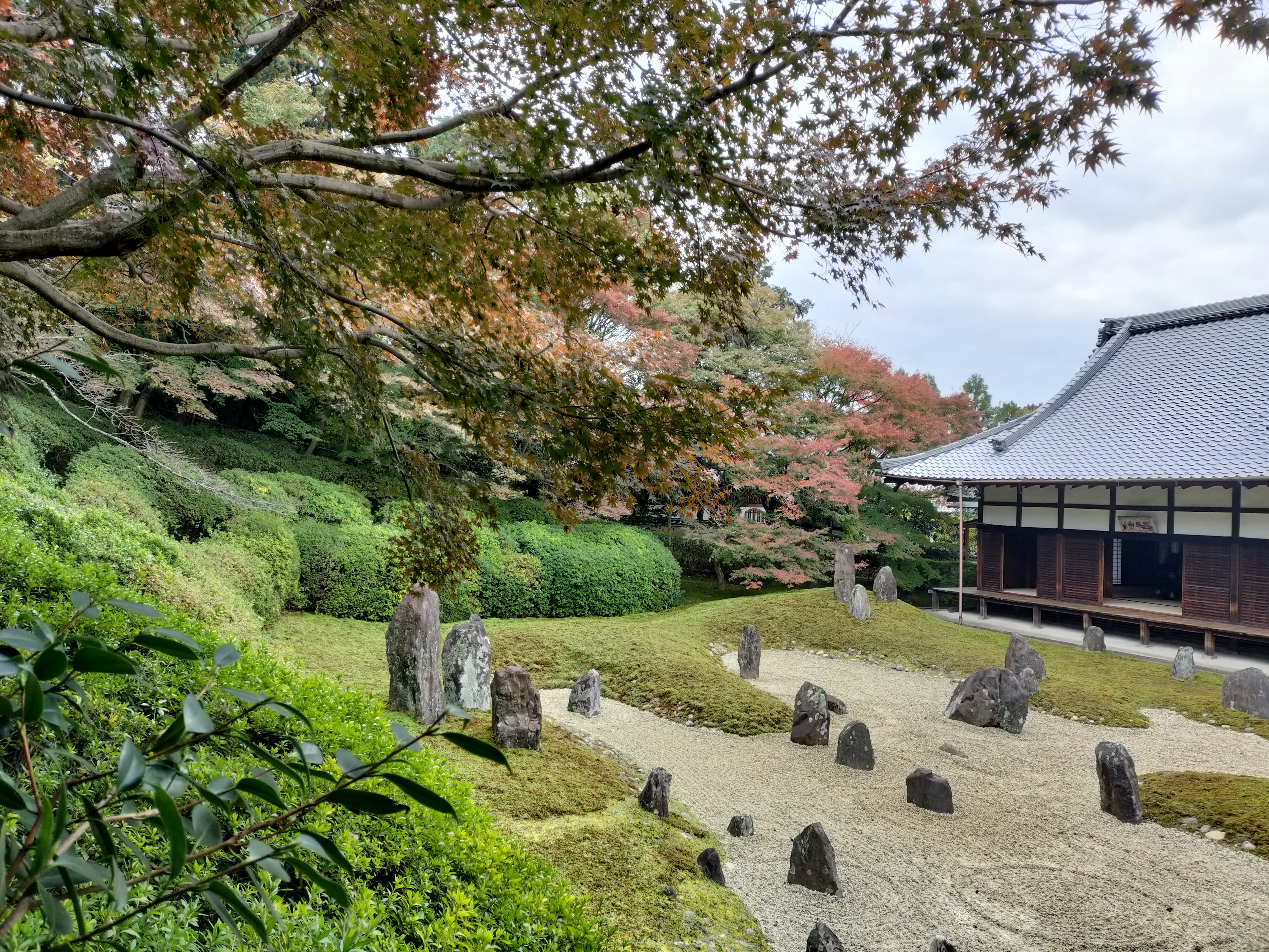 Taman Jepang dengan batu dan vegetasi subur