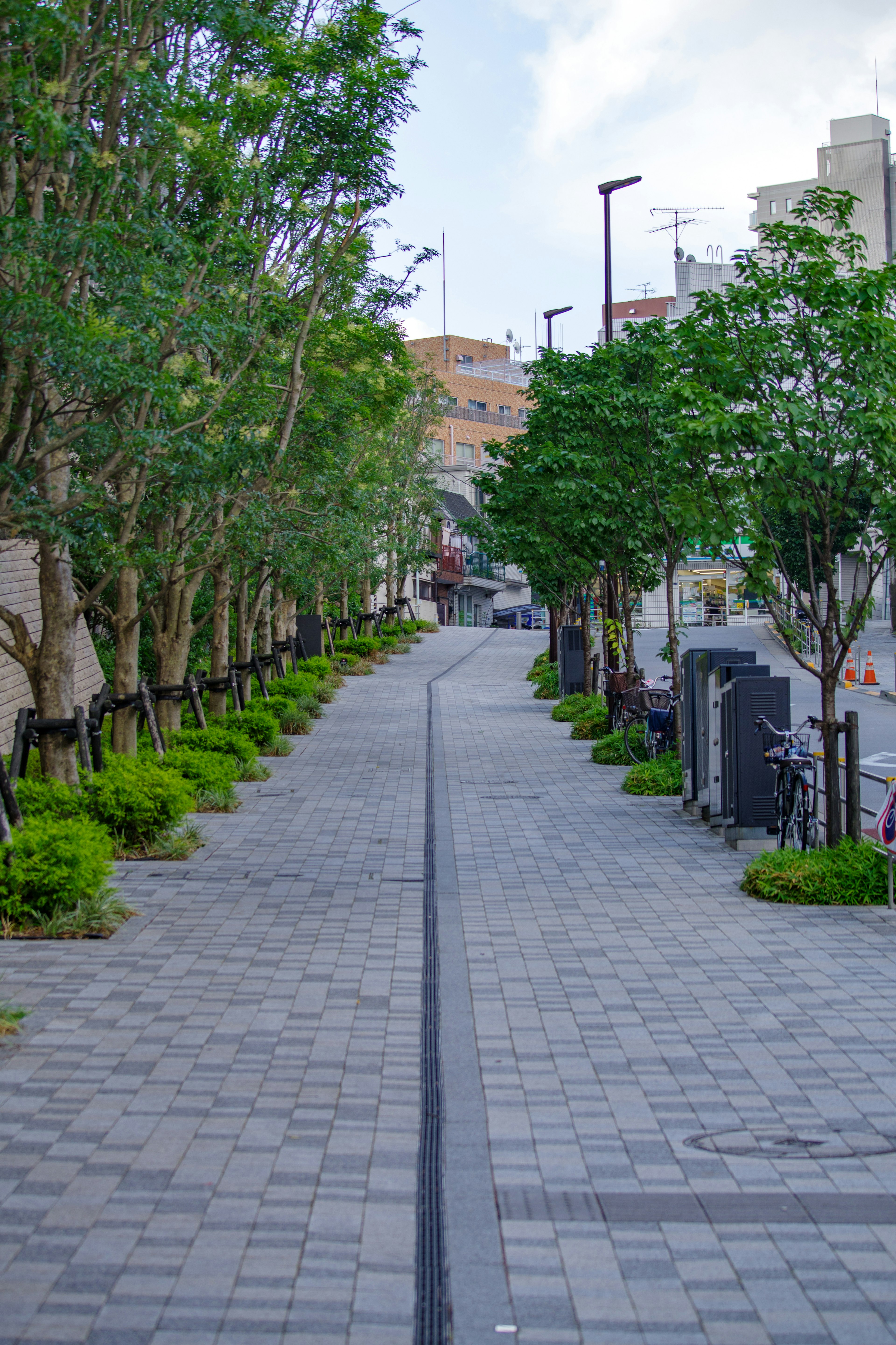 Paved pathway lined with green trees and shrubs