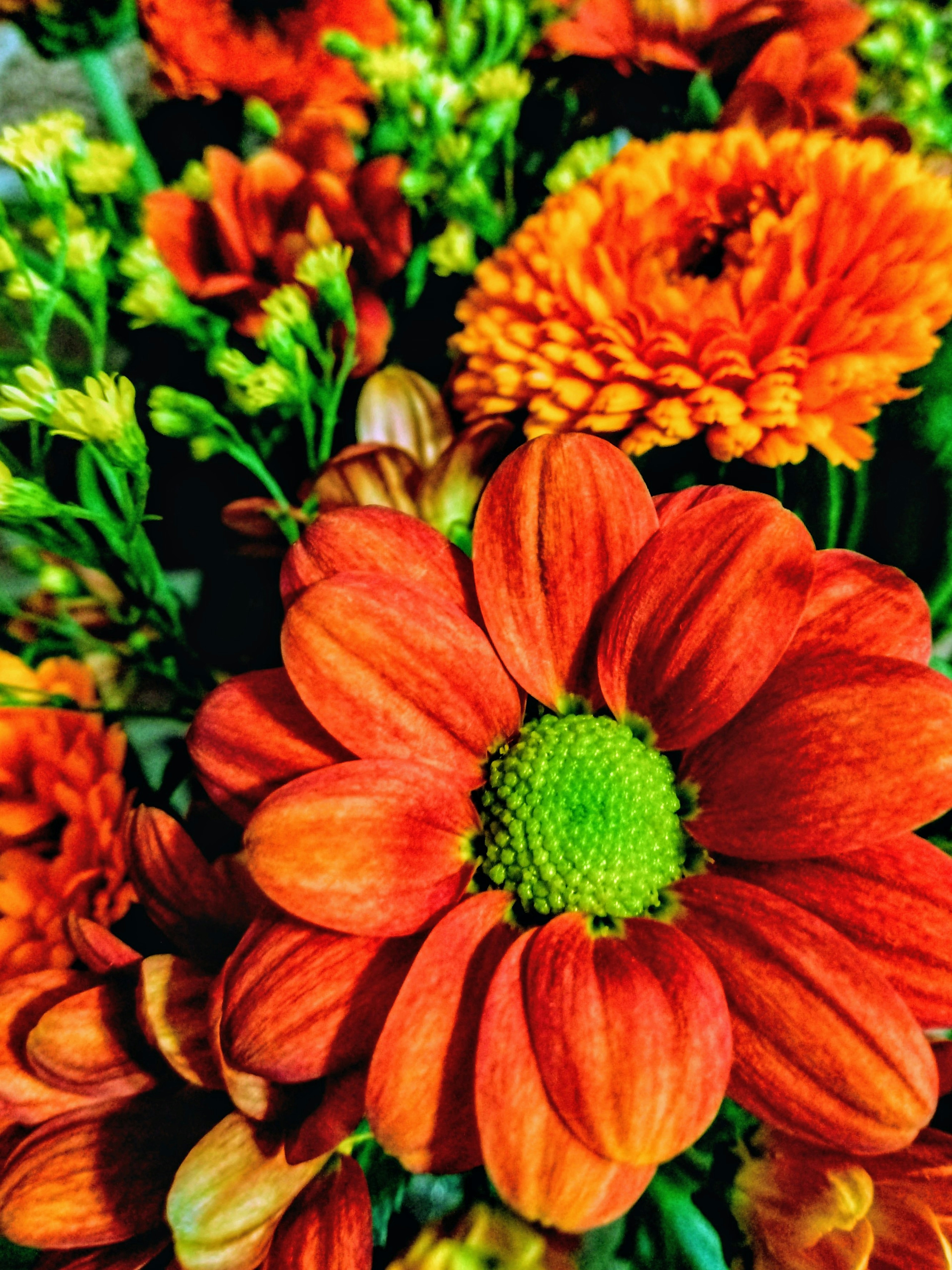 Close-up of vibrant orange flowers with green centers