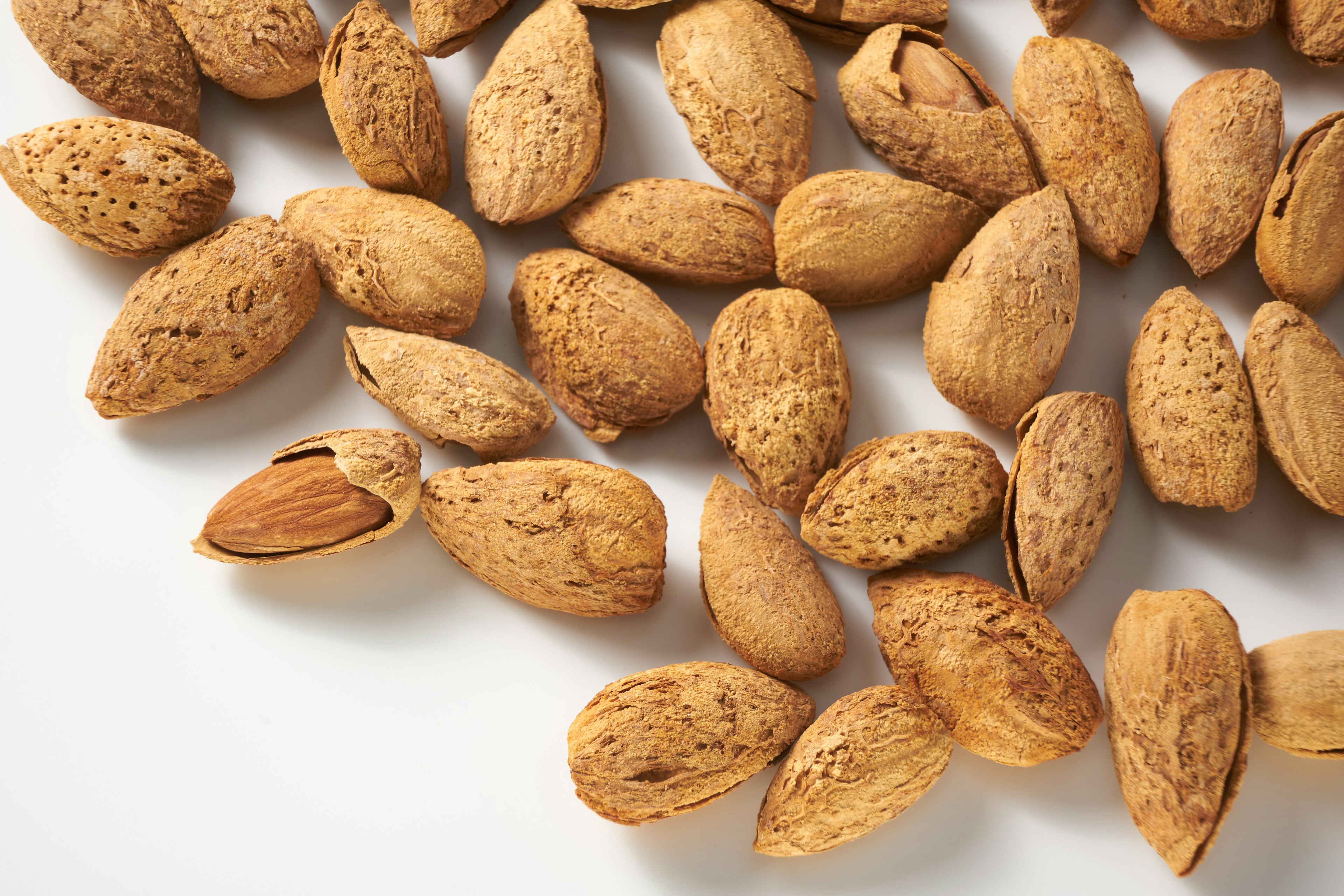 Scattered almond shells on a white surface