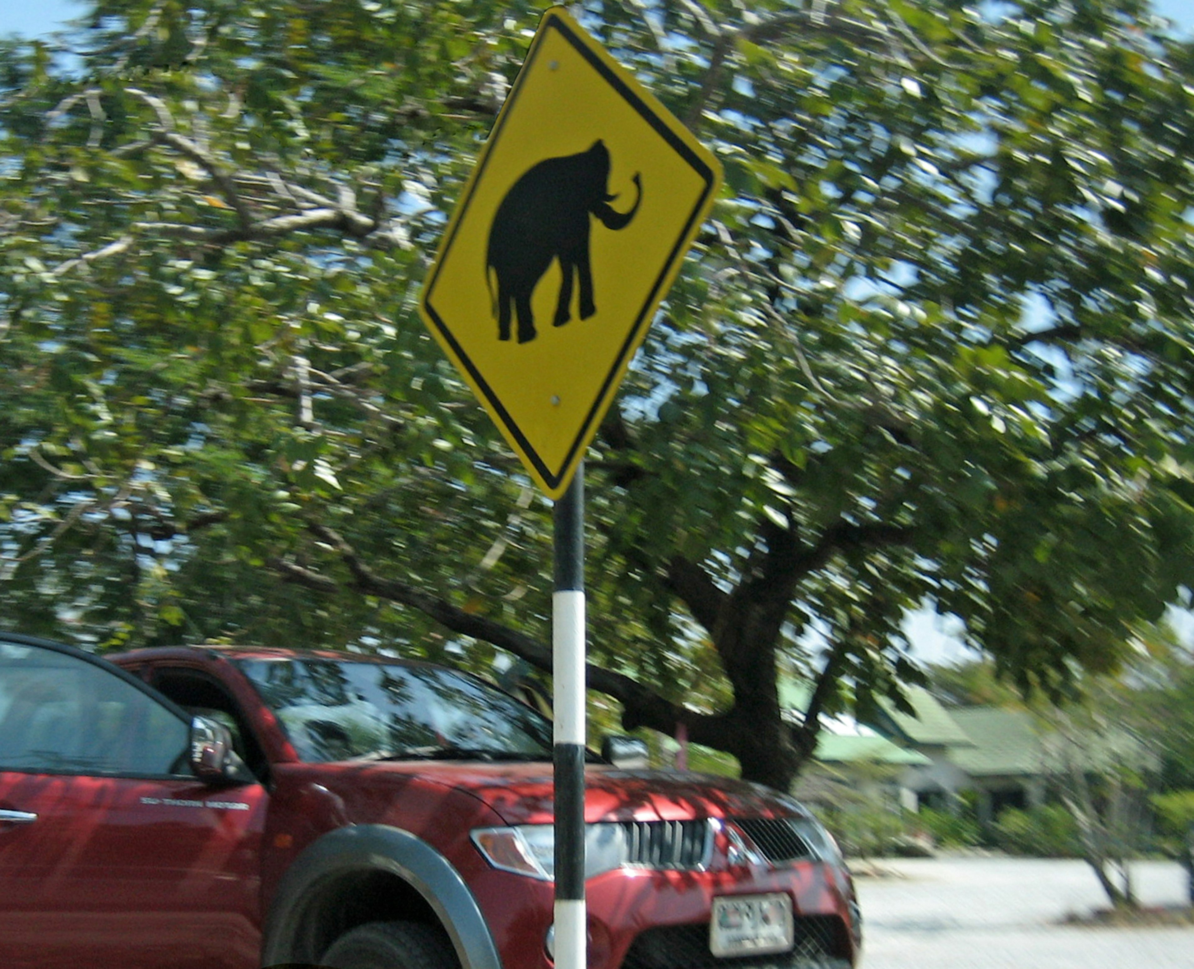 Warning sign featuring an elephant next to a red vehicle and green trees