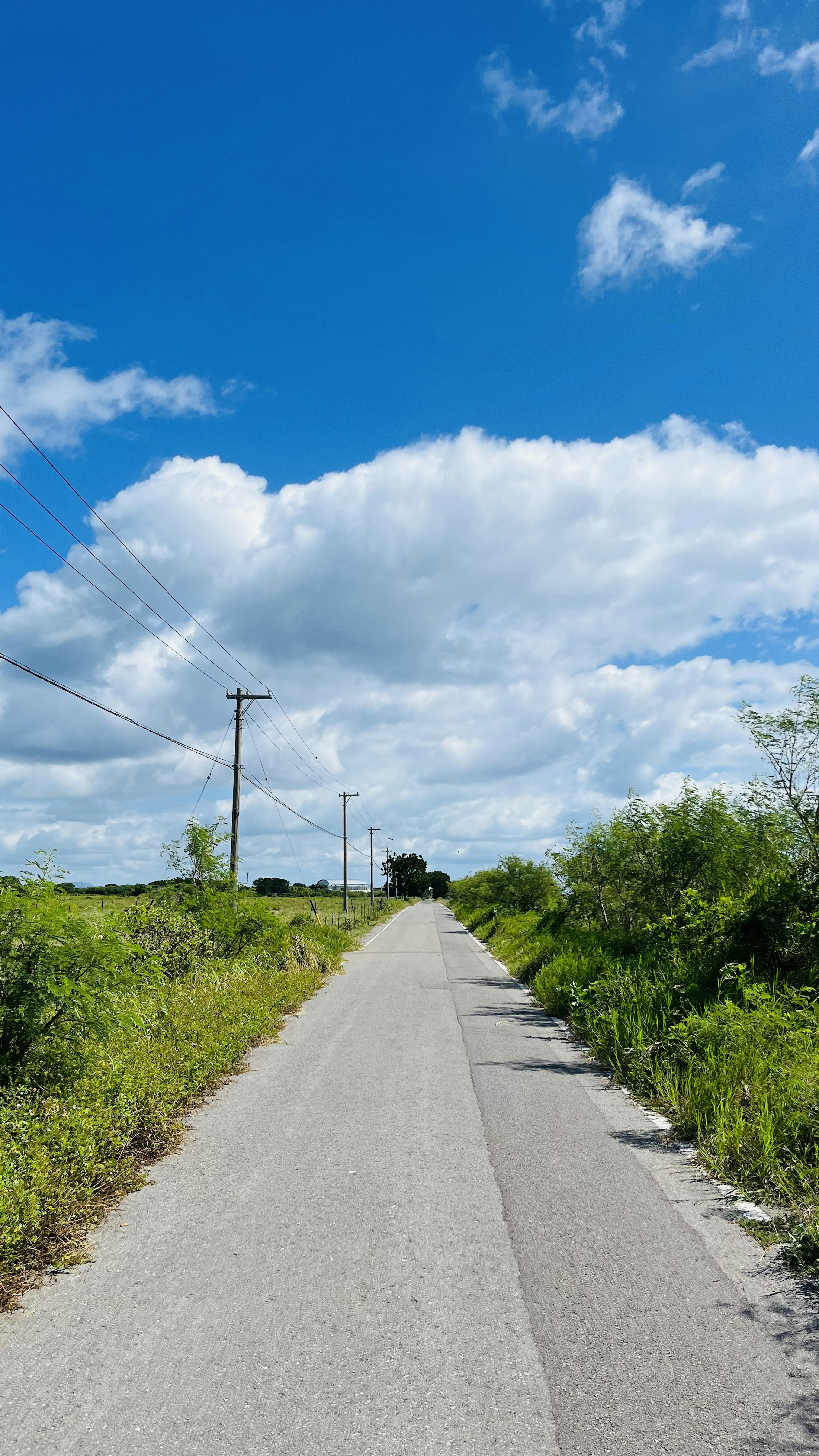 Camino rural con cielo azul y nubes blancas