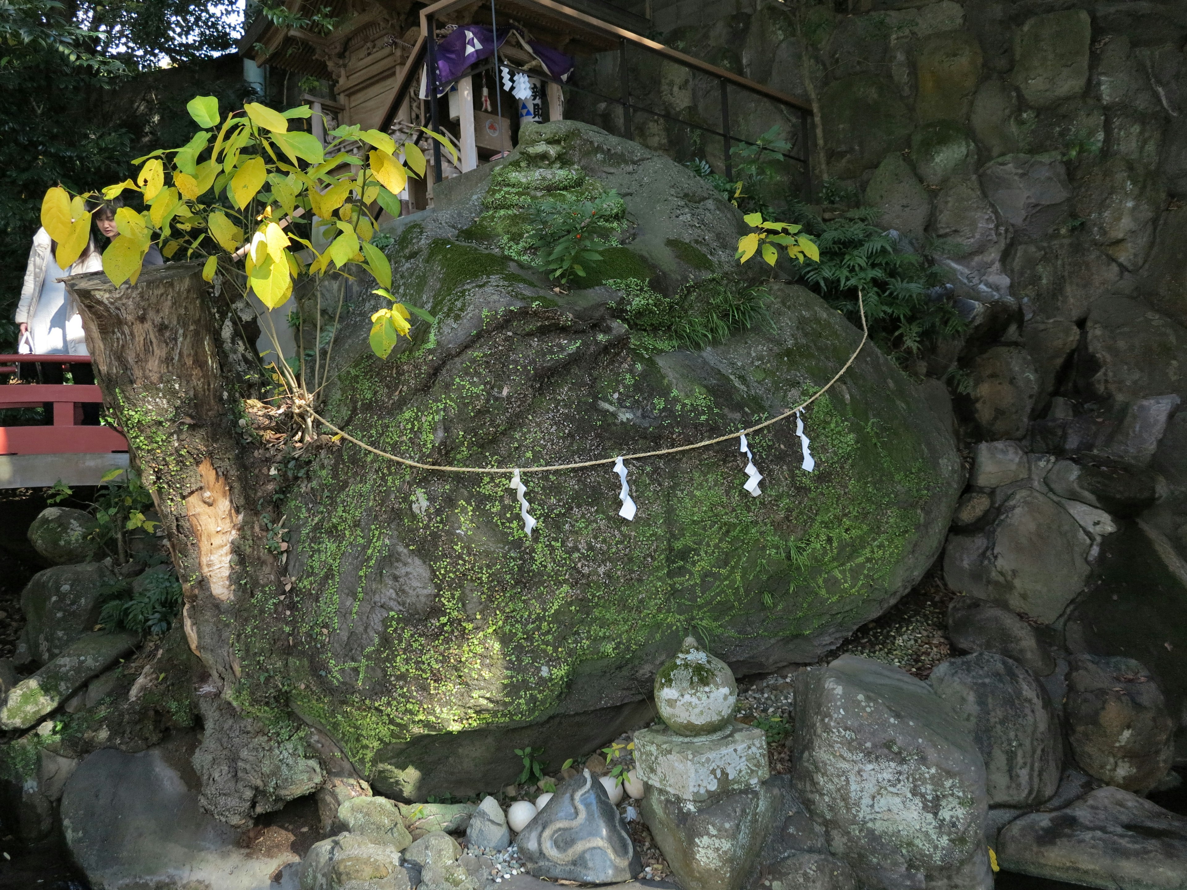 Gran roca cubierta de musgo con planta de hojas amarillas y pequeña estatua