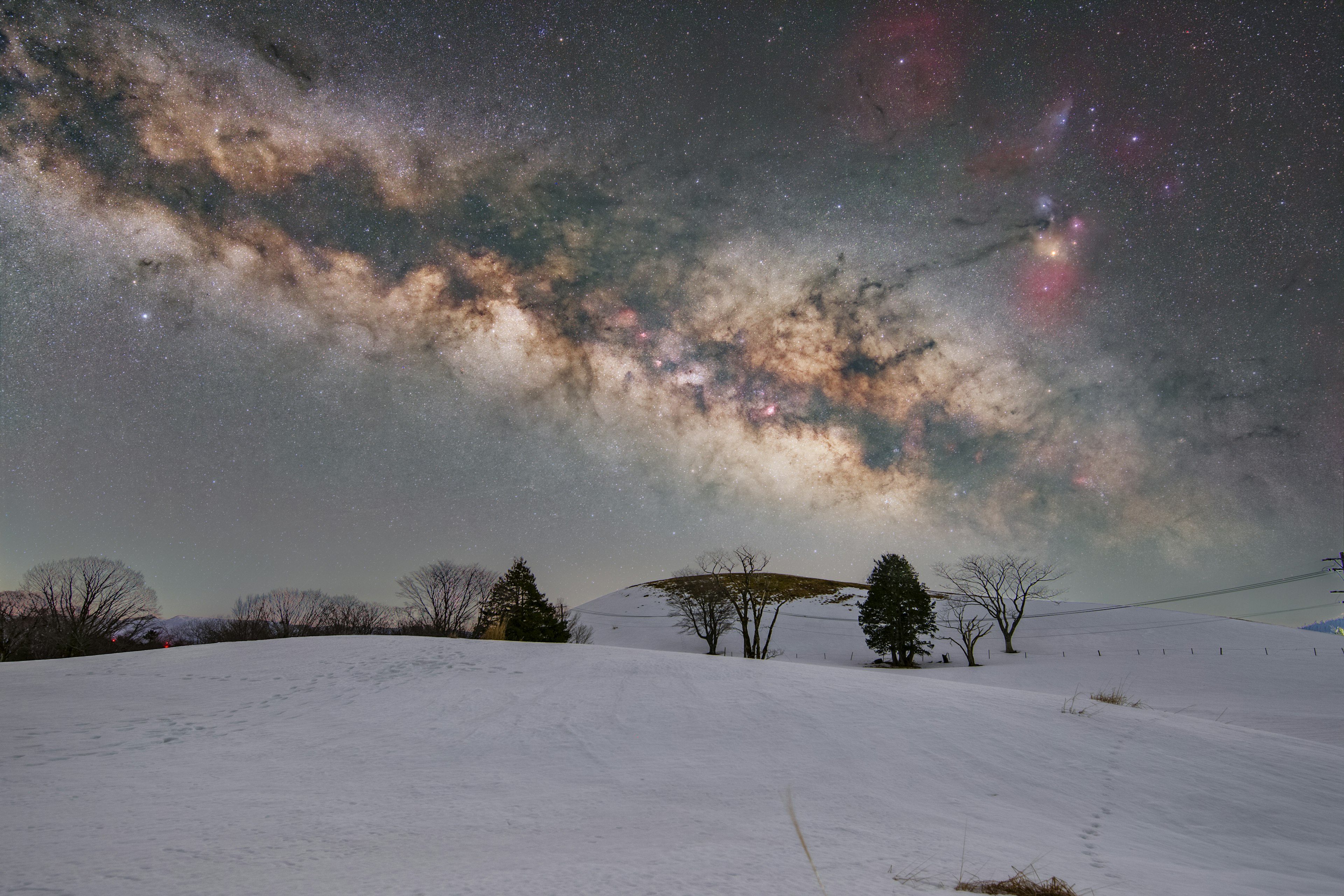 Hermoso cielo nocturno con la Vía Láctea sobre un paisaje nevado y siluetas de árboles