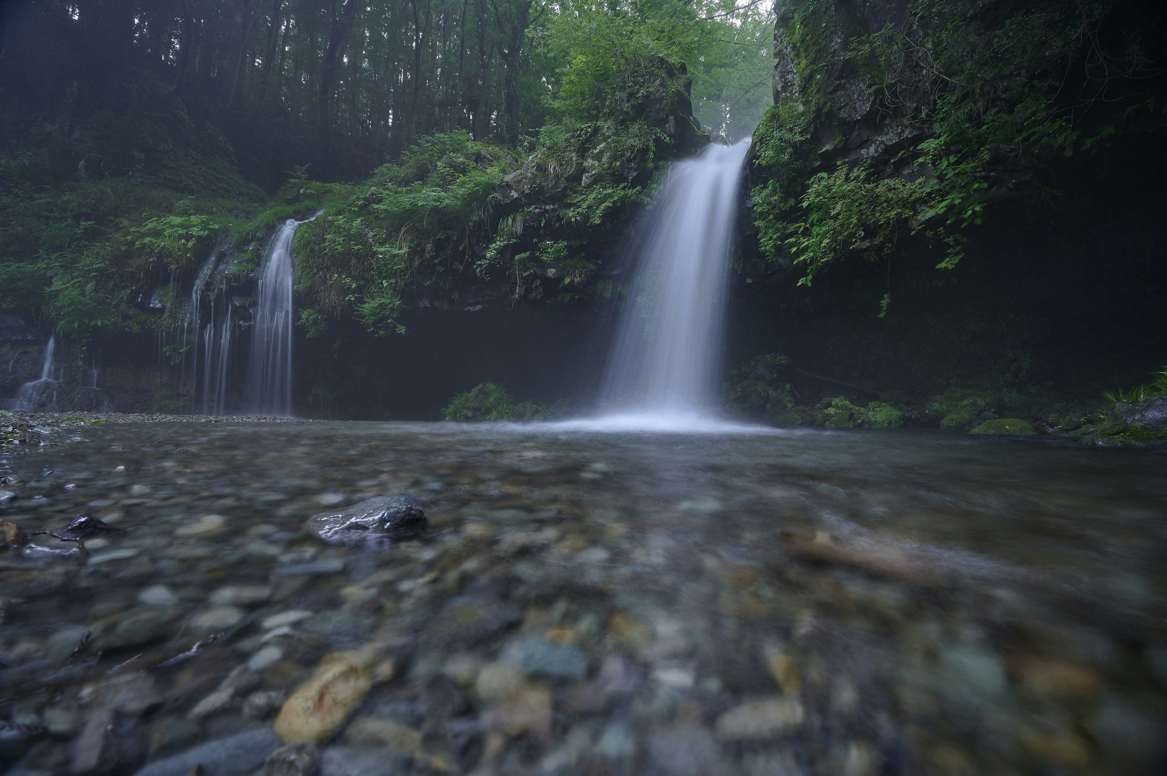 水の流れと緑の木々が見える滝の風景