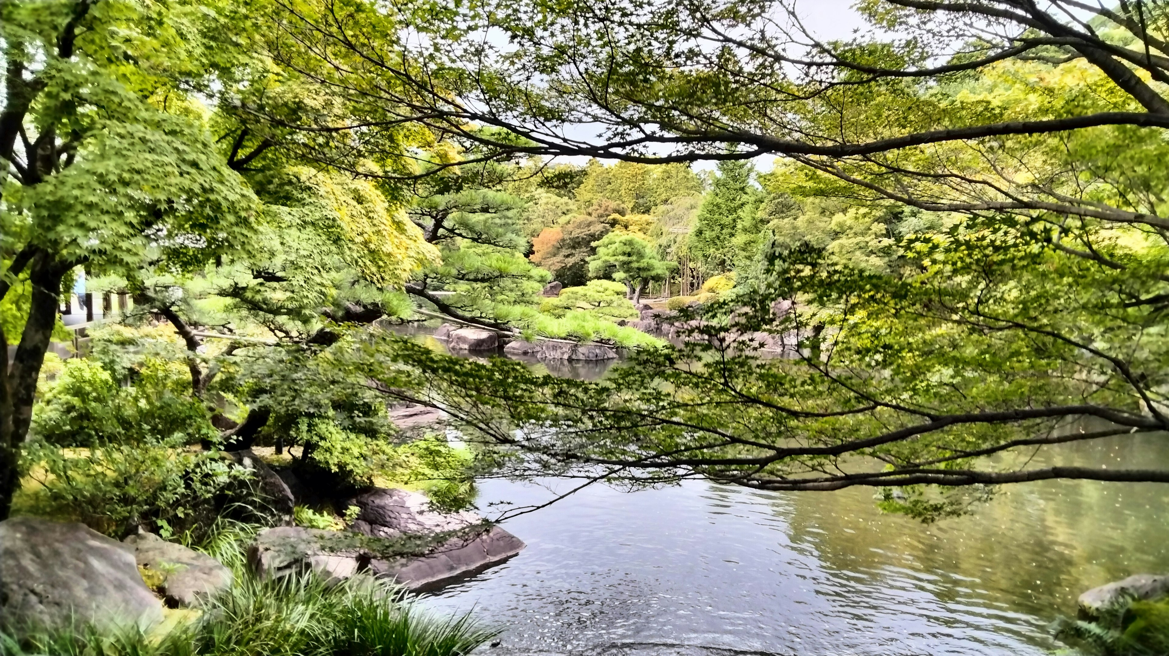 Malersicher Blick auf einen ruhigen Teich umgeben von üppigem Grün