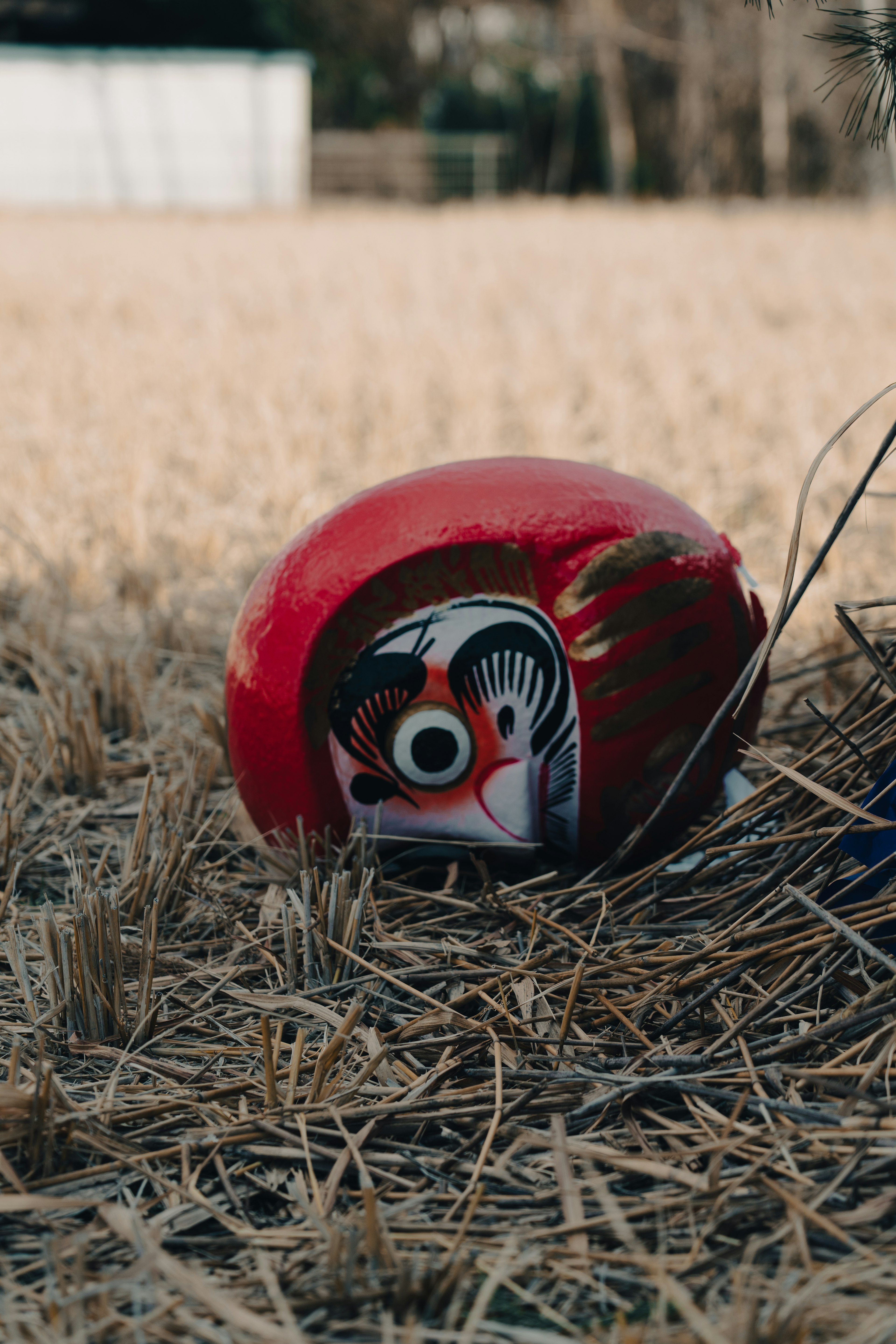 Ein rotes Daruma-Gesichtobjekt, das im Gras liegt