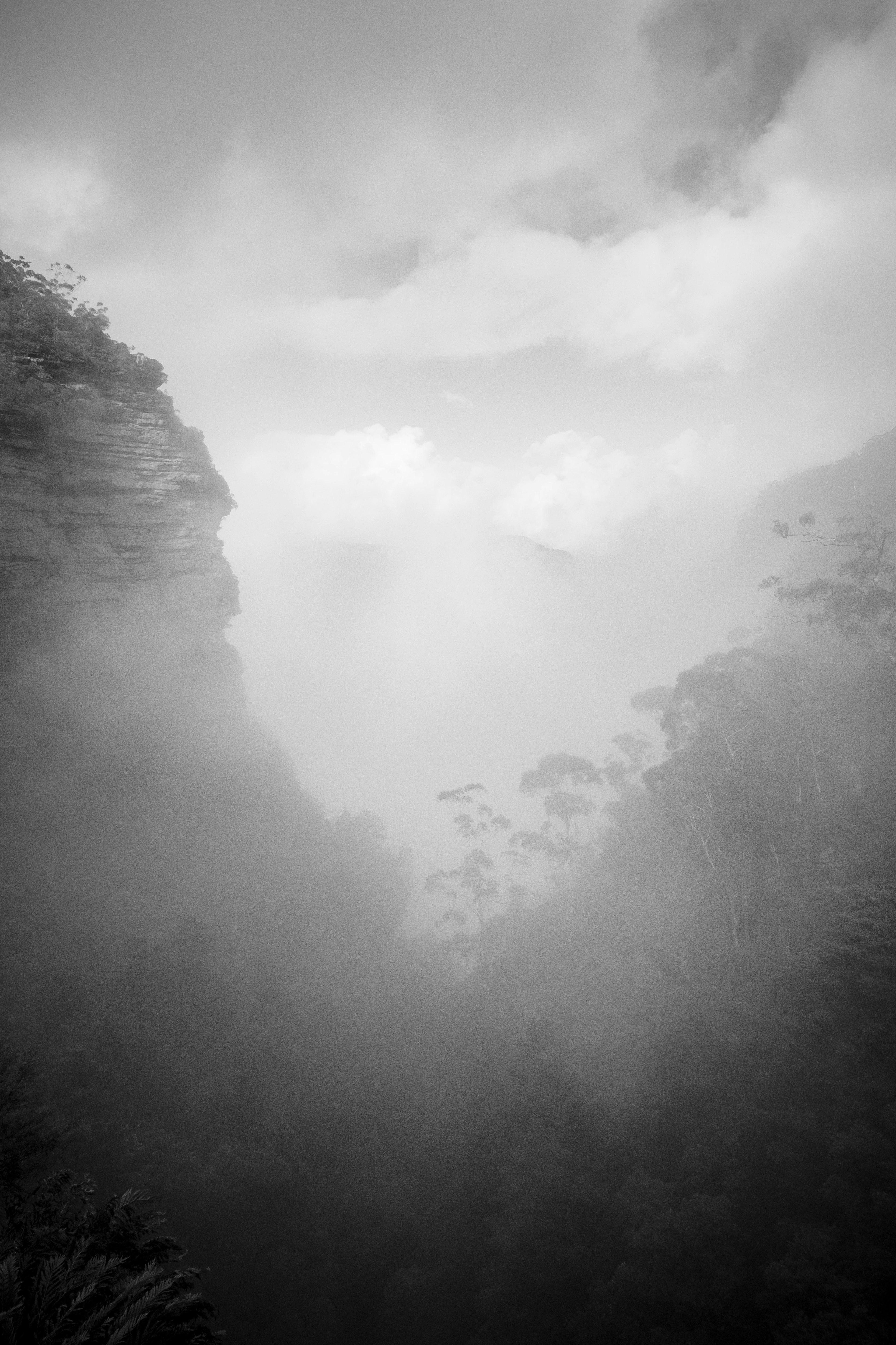 Fotografía en blanco y negro de un valle montañoso con niebla