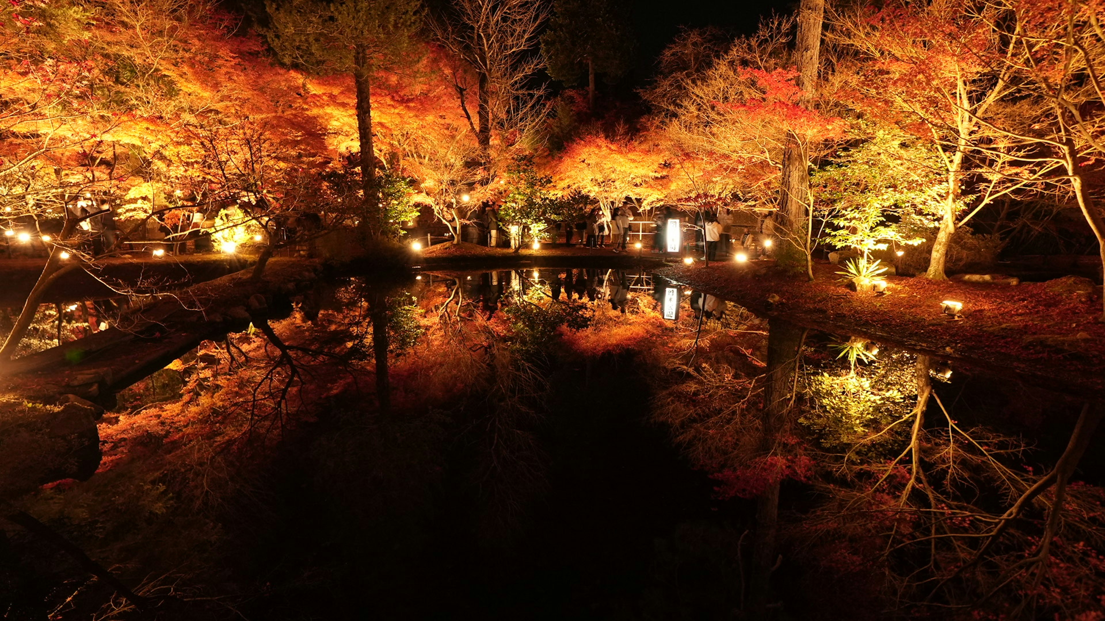 Scène nocturne de feuillage d'automne reflété dans un étang tranquille