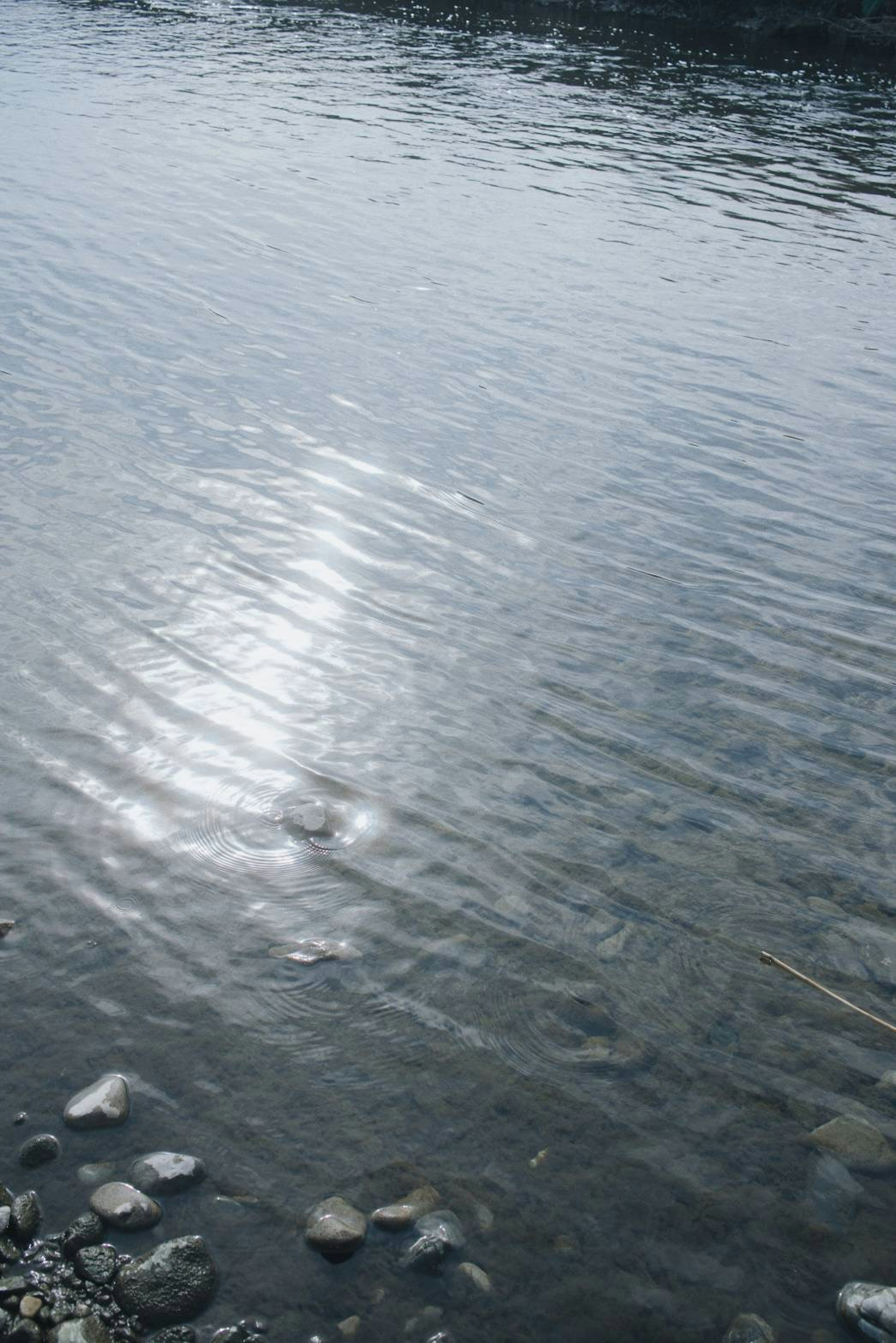 水面に反射する光と波紋のある水景