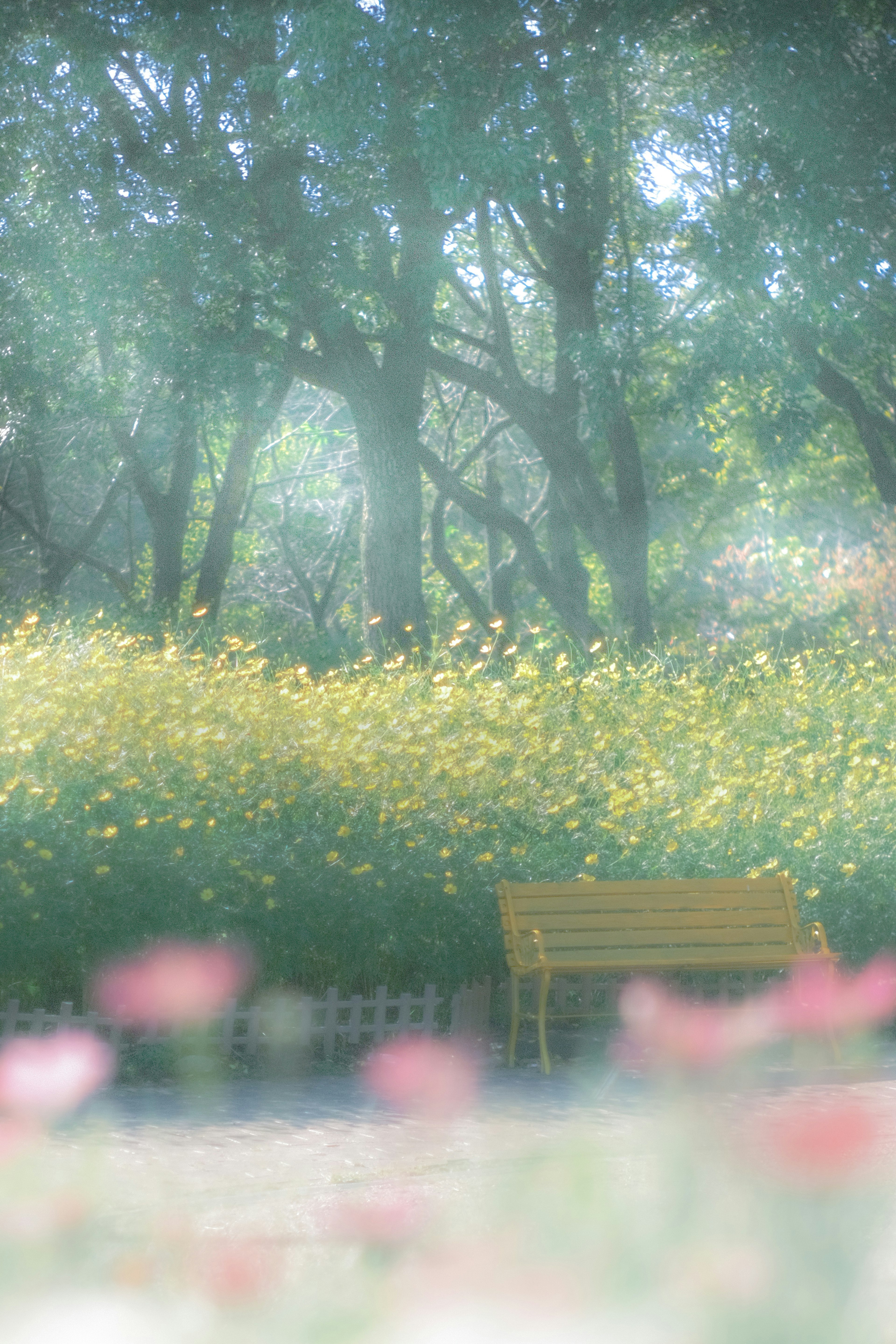 Un banc de parc entouré d'arbres verts et de fleurs jaunes