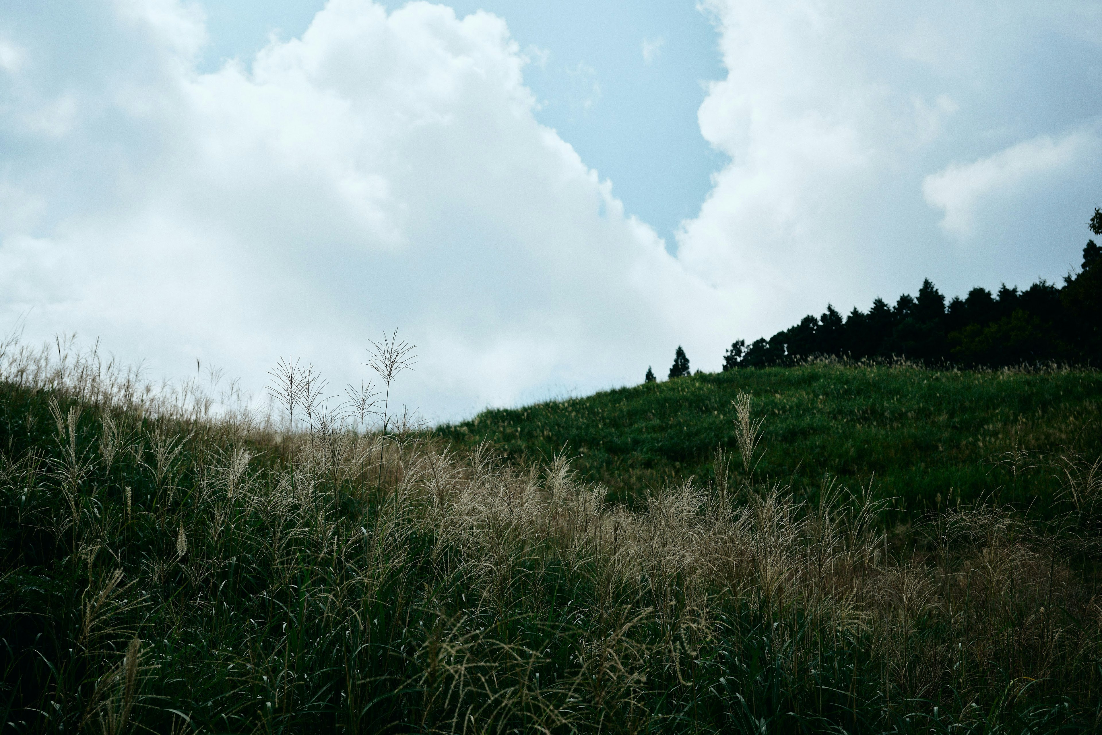 Scenic landscape with blue sky and white clouds green hills and dry grass