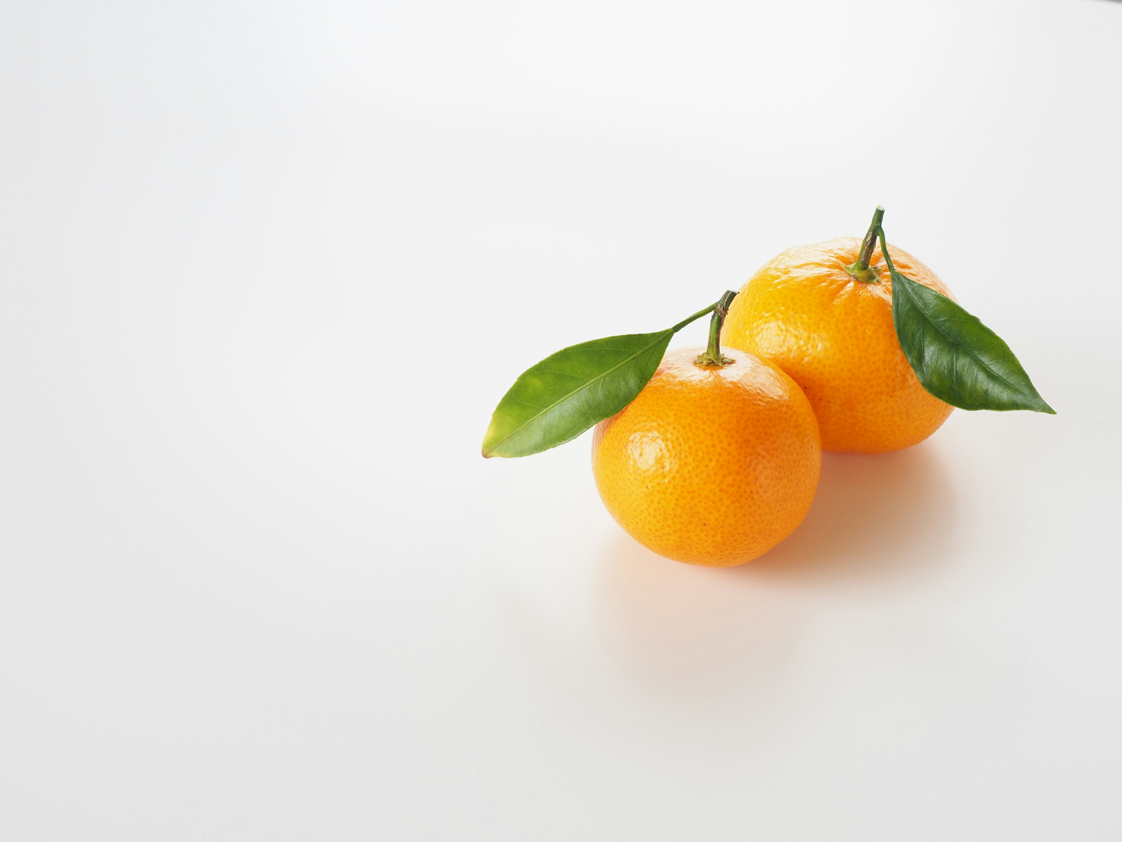 Two orange mandarins with green leaves on a white background