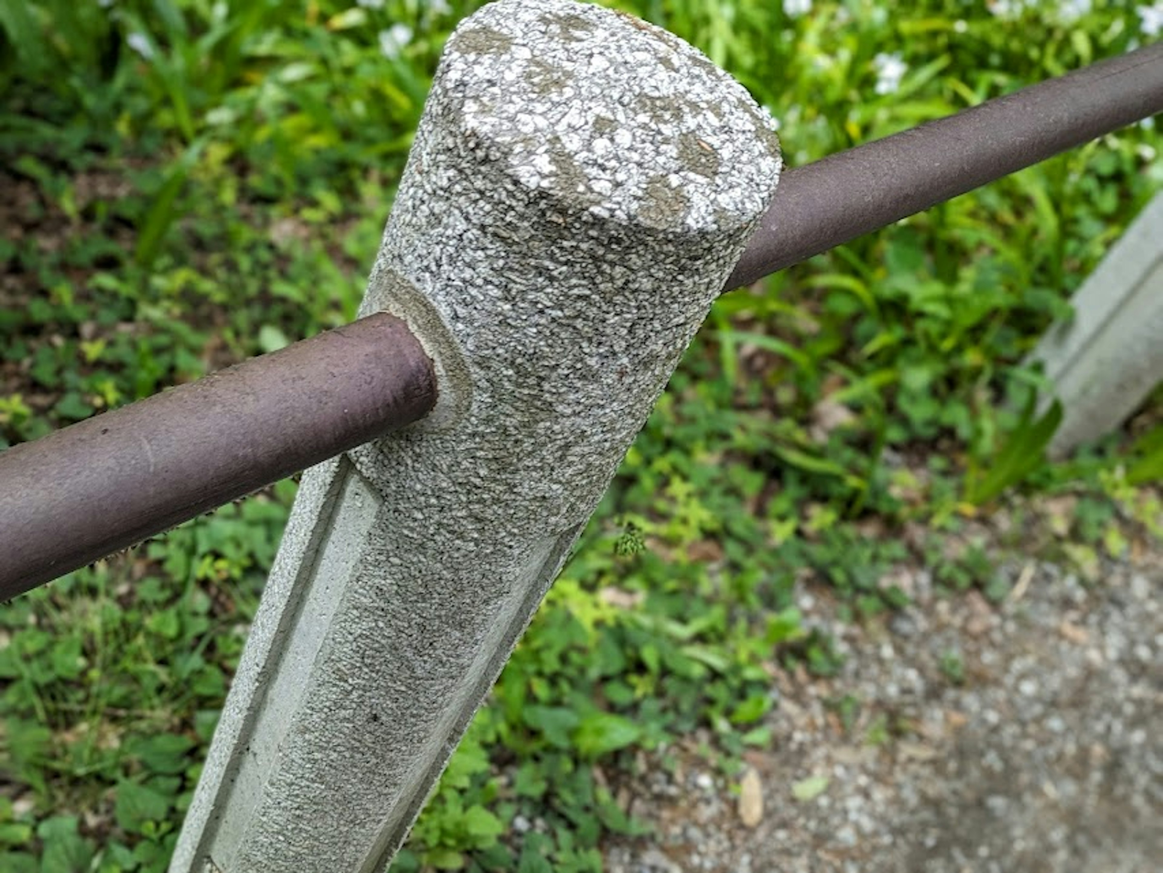 Betonpfosten mit Metallgeländer und grünem Hintergrund