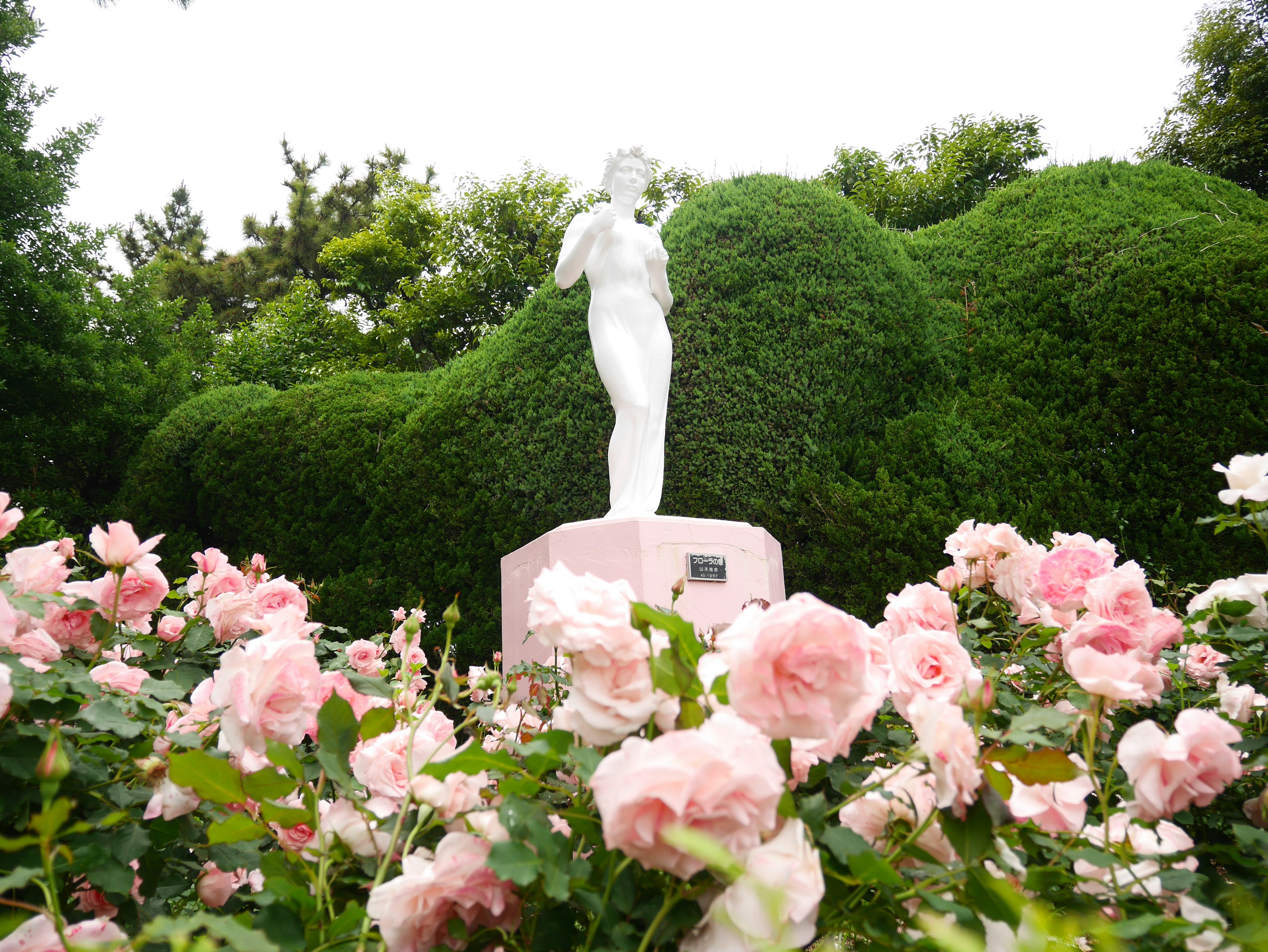 Une statue blanche entourée de roses roses dans un magnifique jardin