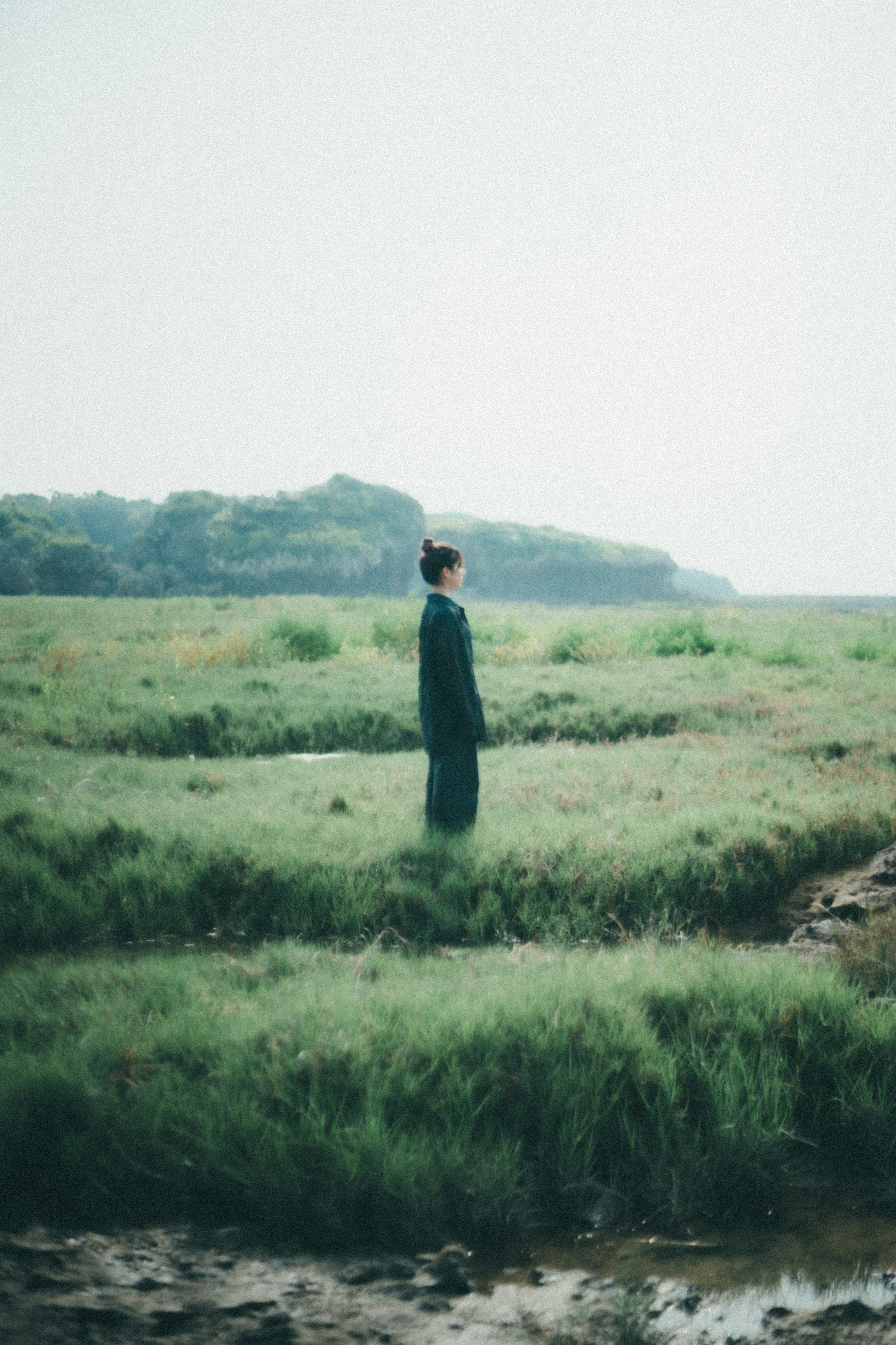 Silhouette of a person standing in a misty grassland