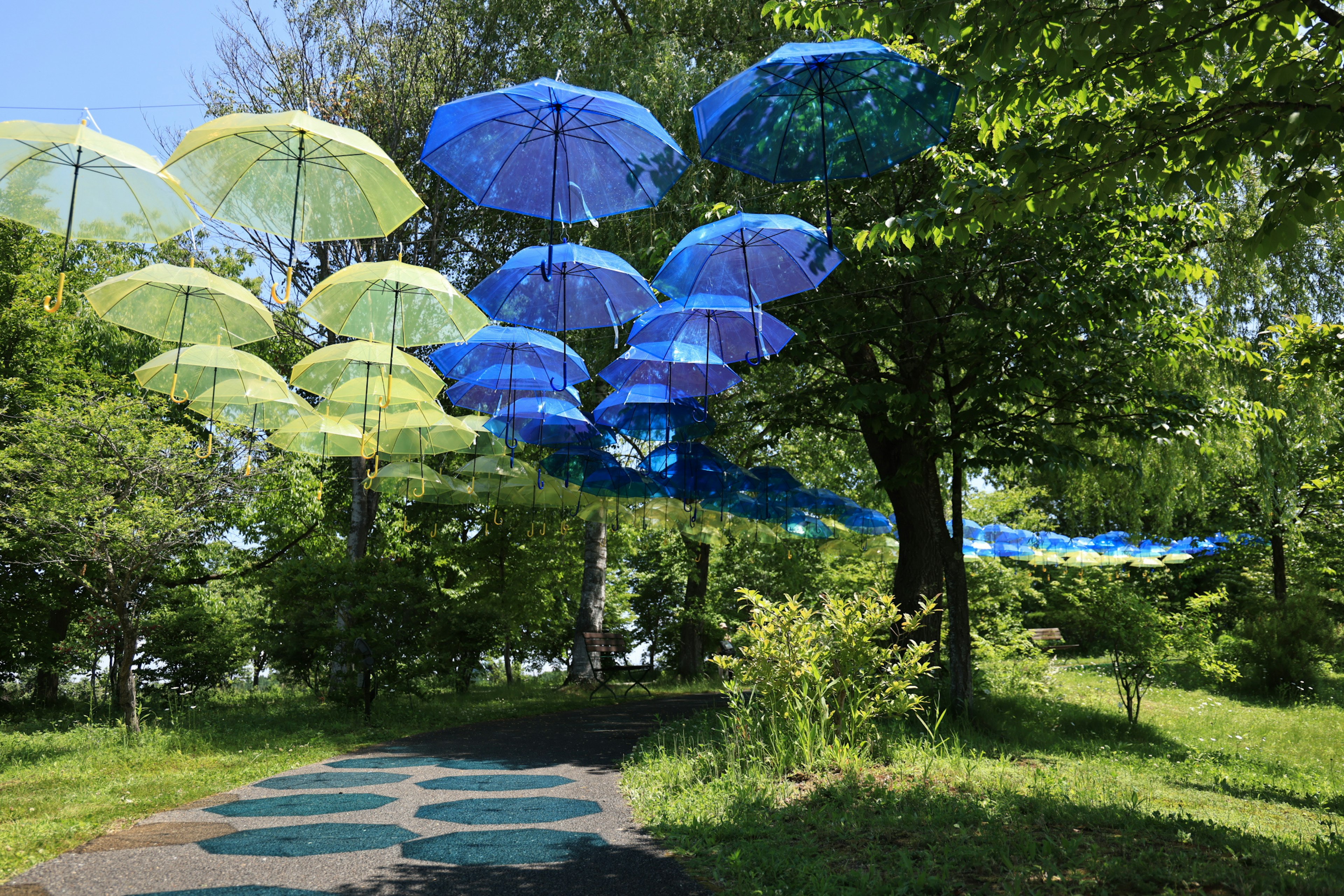 Une exposition colorée de parapluies bleus et verts suspendus entre des arbres dans un parc