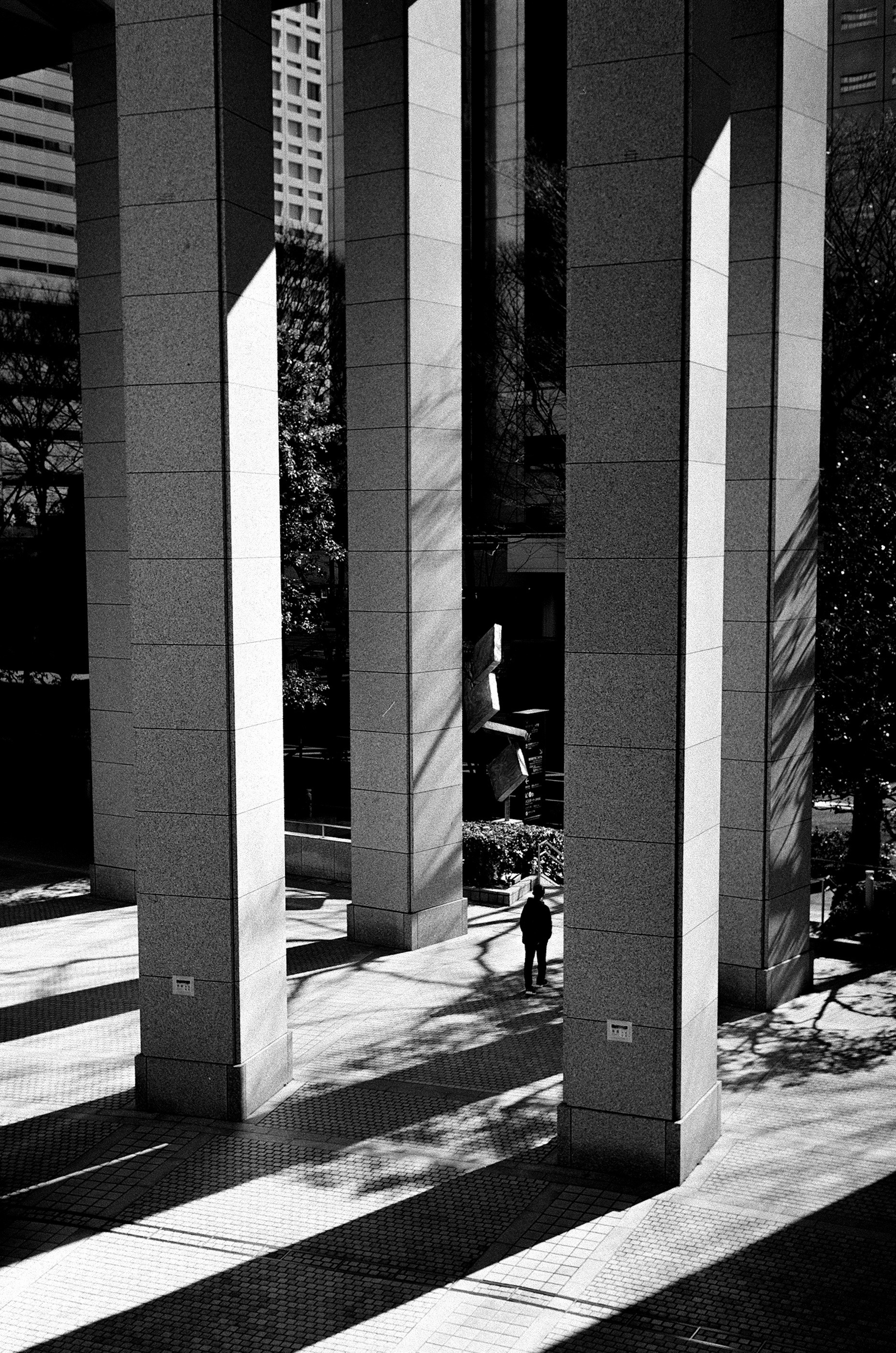 Black and white urban scene featuring tall pillars and contrasting shadows